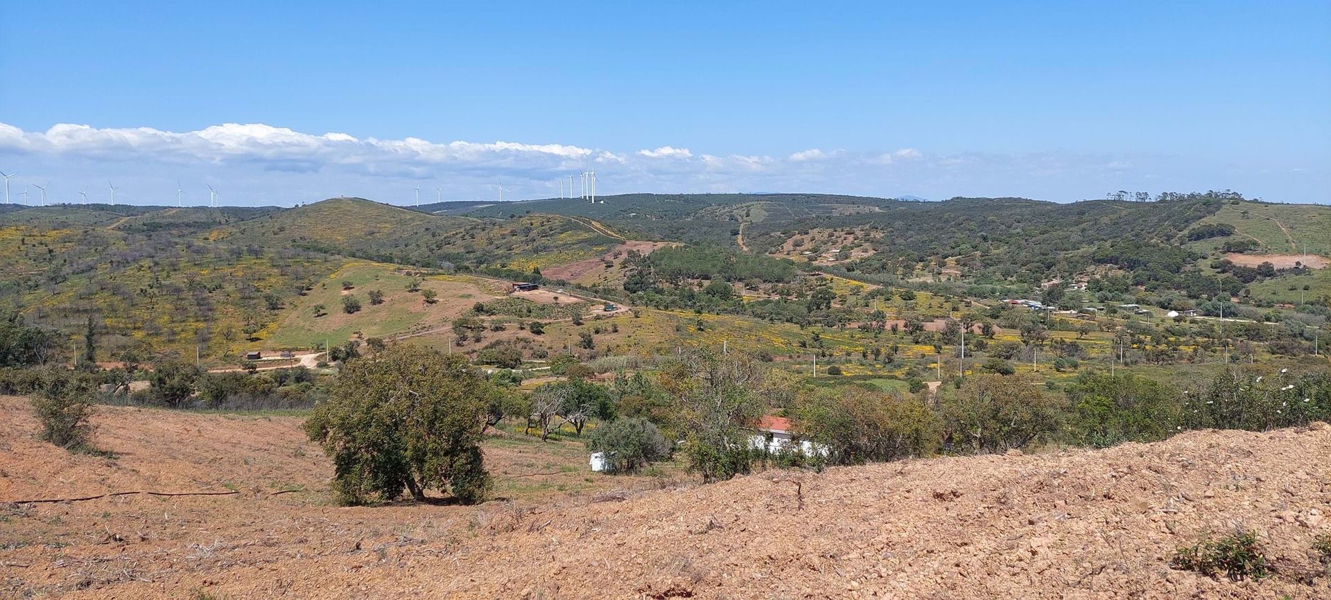 Tierra en Budens, Faraón 10745477