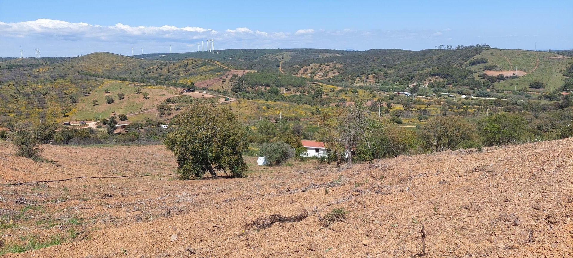 Tierra en Budens, Faraón 10745477