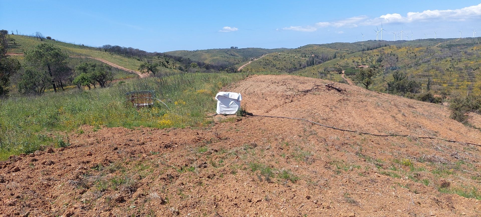 Tierra en Budens, Faraón 10745477