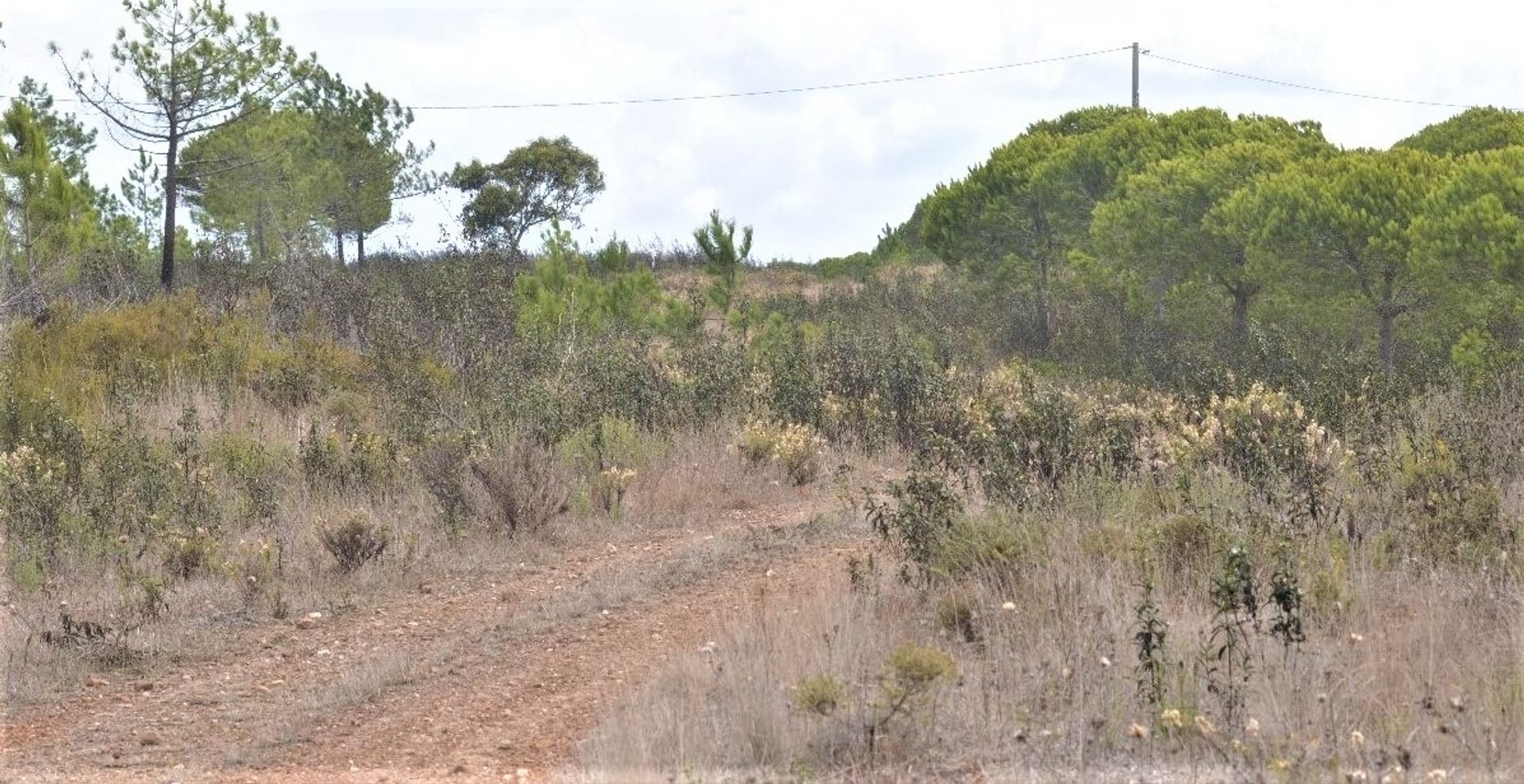 Land in Aljezur, Faro 10745489