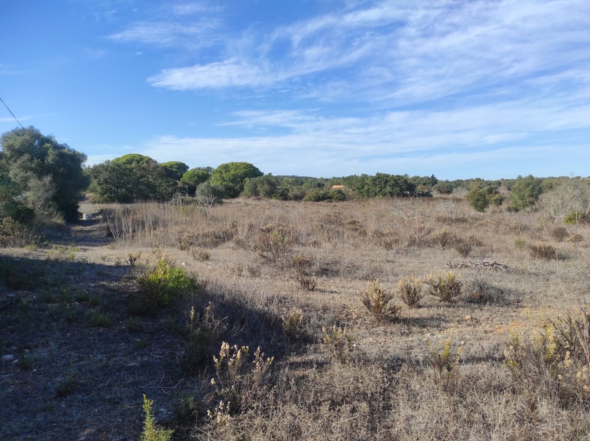 Γη σε Λαγός, Φαραώ 10745501