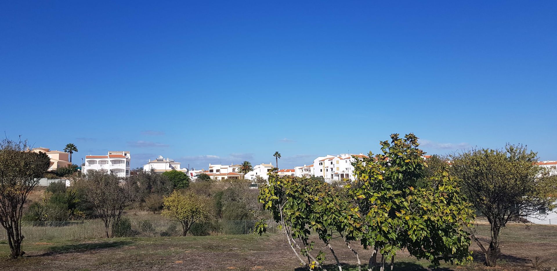 Land in Santo Amaro, Faro 10745560