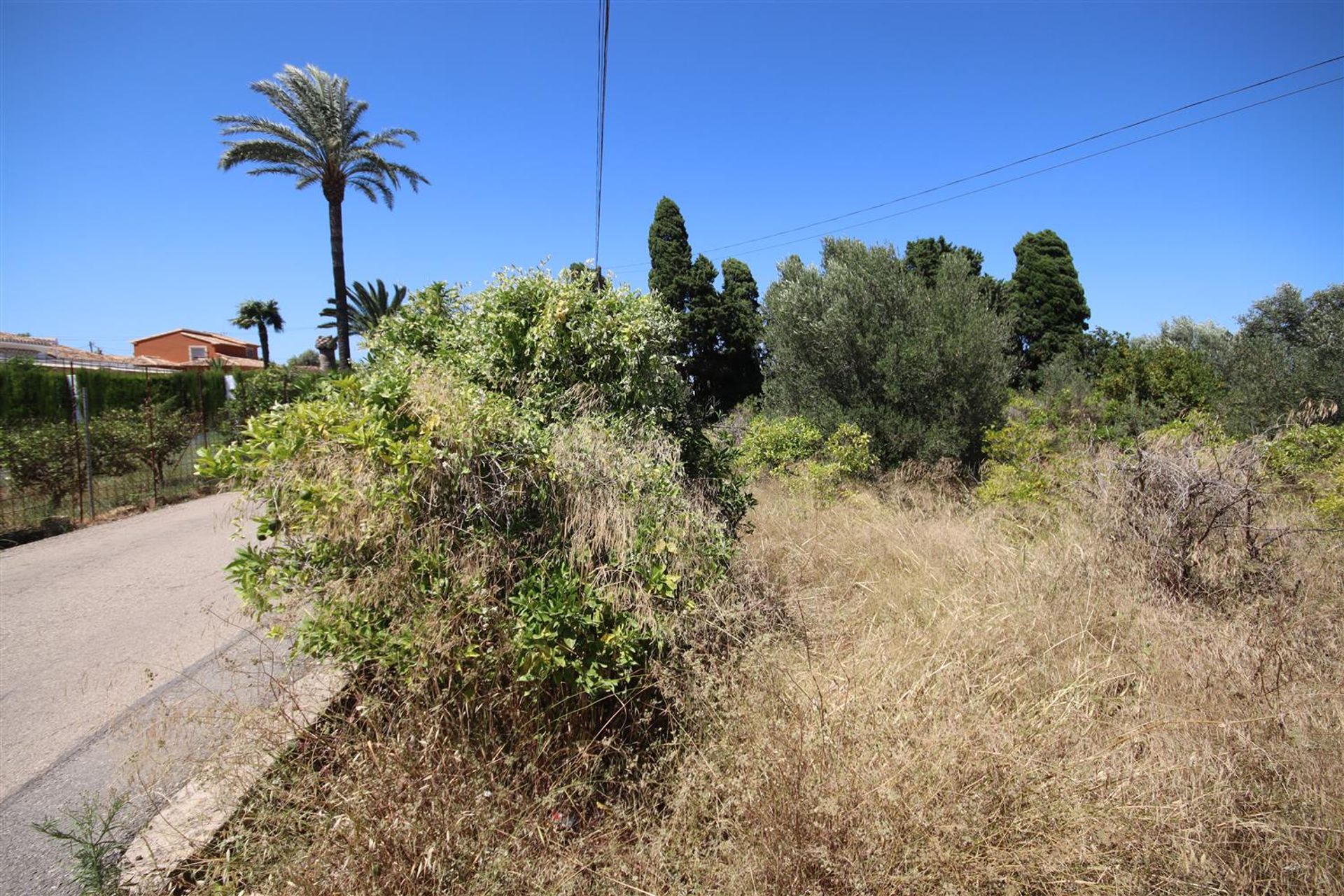 Land im Vergel, Valencia 10746157