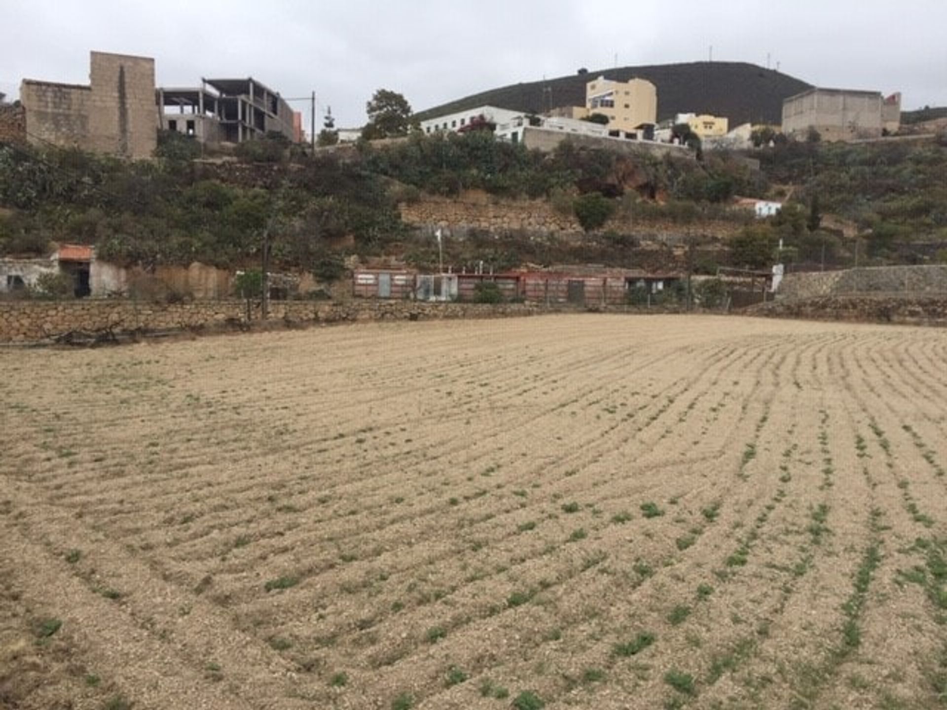 House in La Tejita, Canarias 10746205