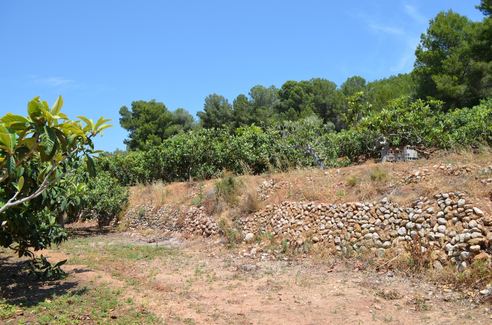 Land in Callosa d'en Sarrià, Valencian Community 10746373