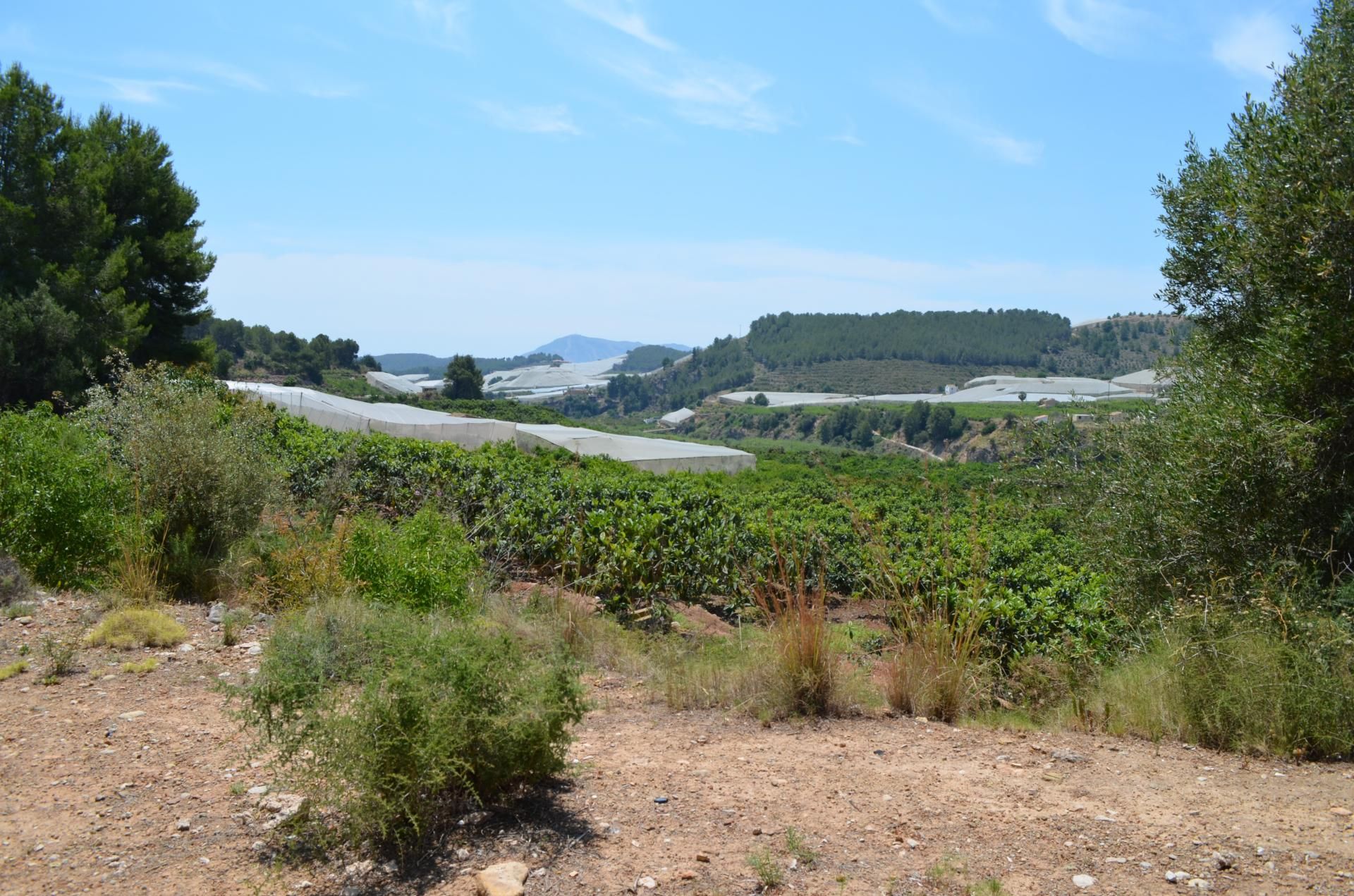 Land in Callosa d'en Sarrià, Valencian Community 10746373