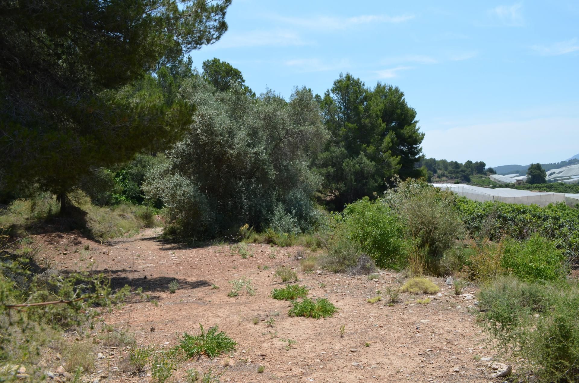 Land in Callosa d'en Sarrià, Valencian Community 10746373