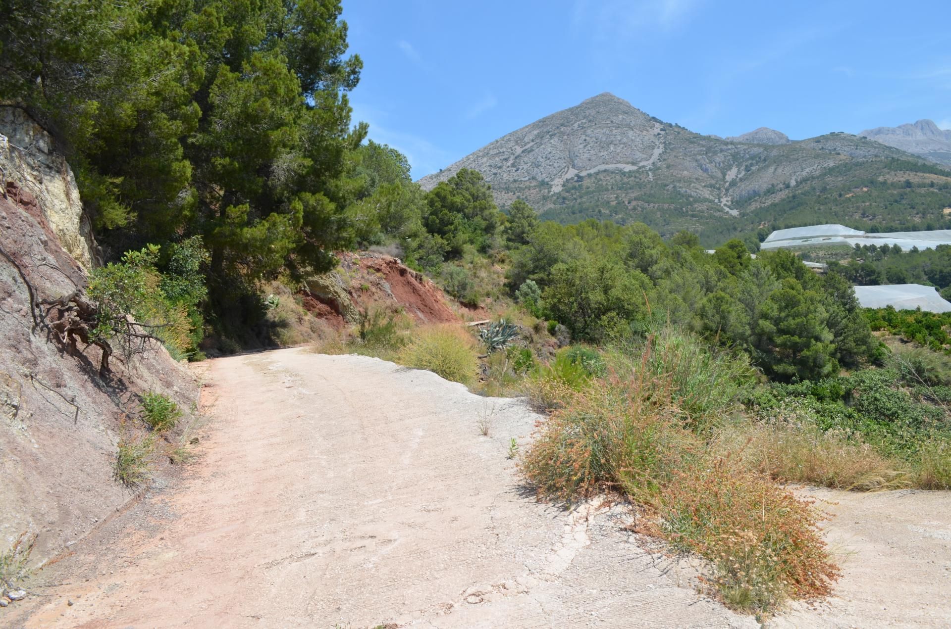 Land in Callosa d'en Sarrià, Valencian Community 10746373