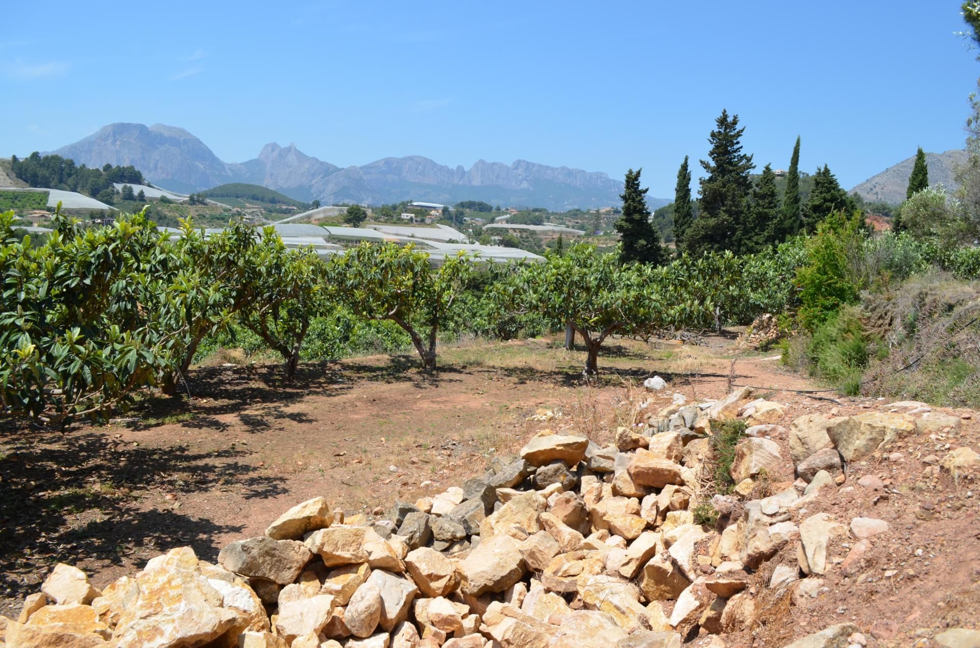 Land in Callosa d'en Sarrià, Valencian Community 10746373