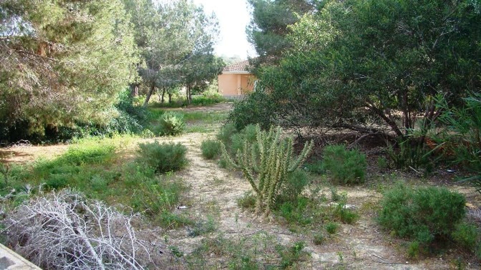 Land im Algorfa, Valencia 10746460