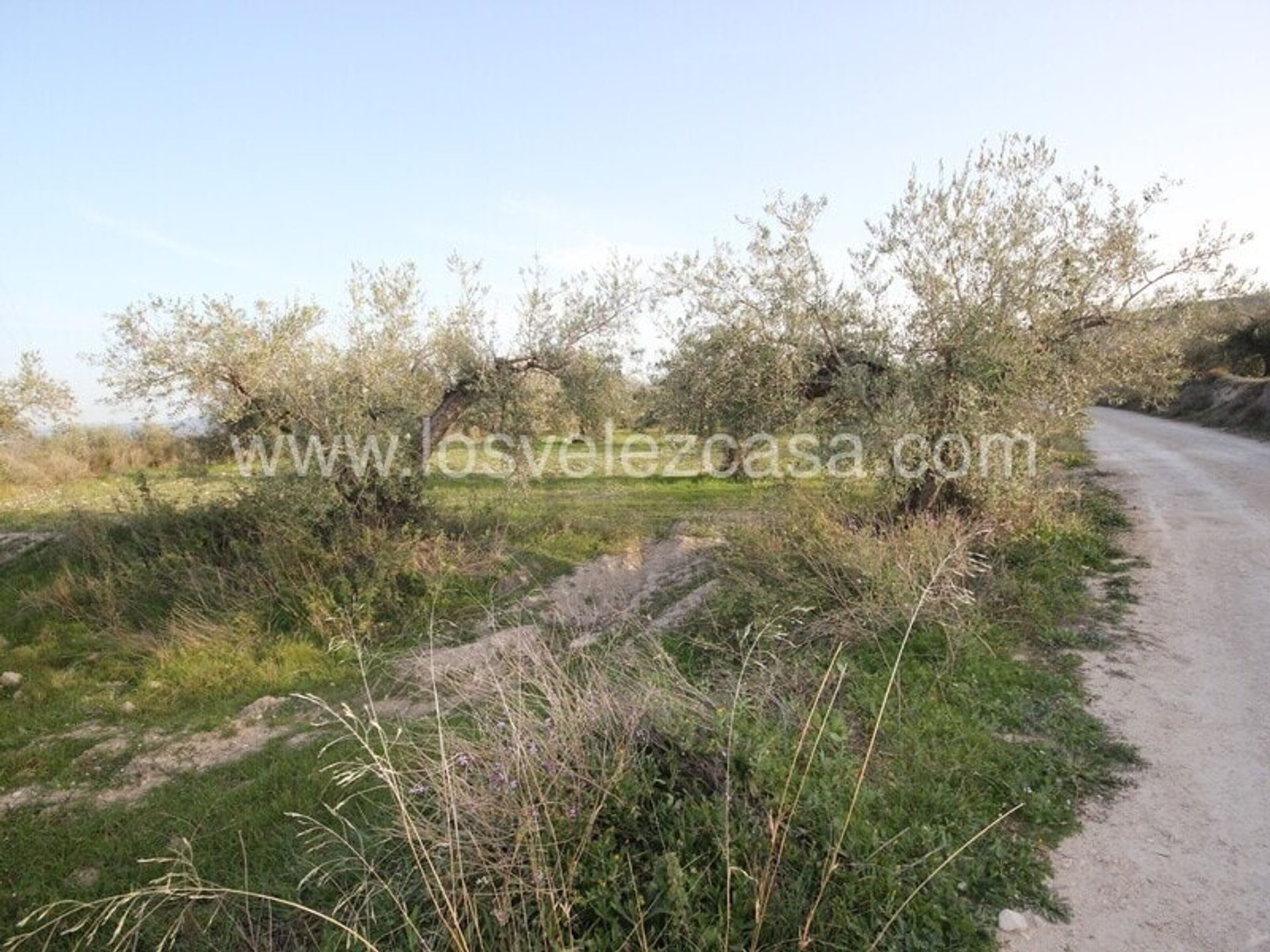 Tierra en Vélez Blanco, Andalucía 10746547