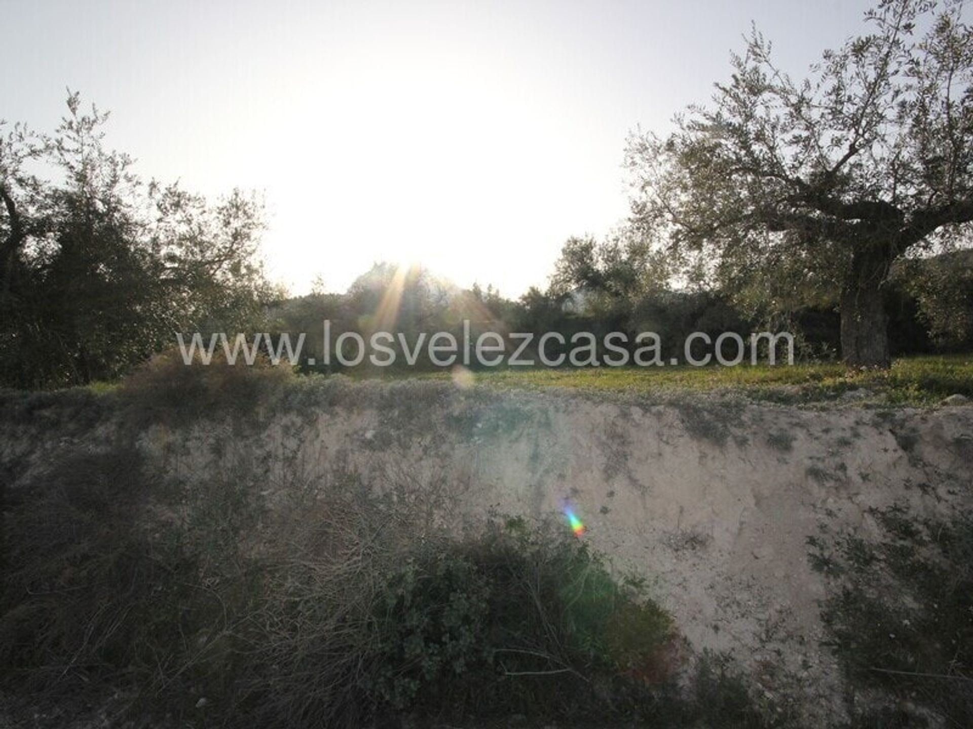 Land in Vélez-Blanco, Andalucía 10746547