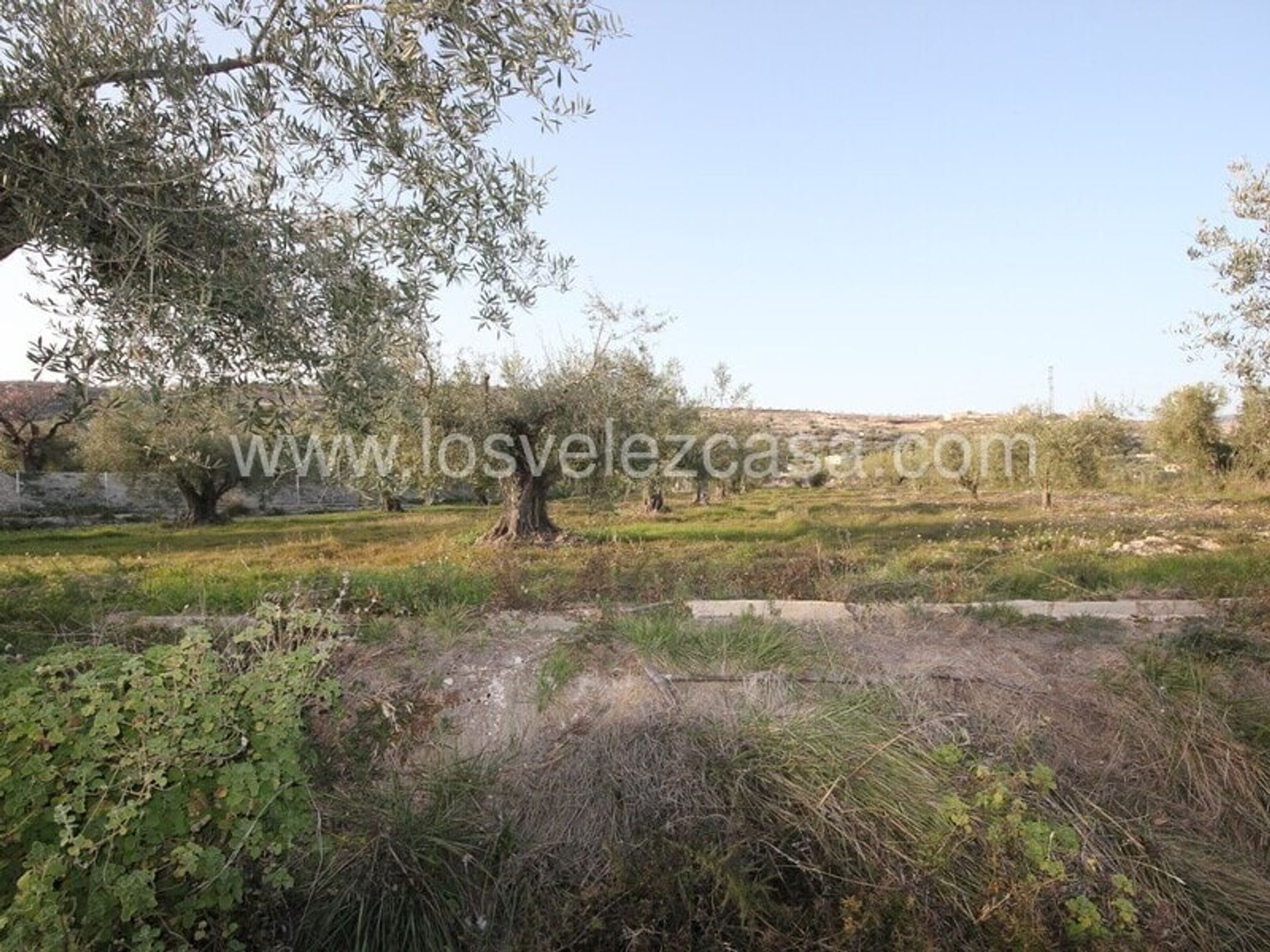 Land in Vélez-Blanco, Andalucía 10746547