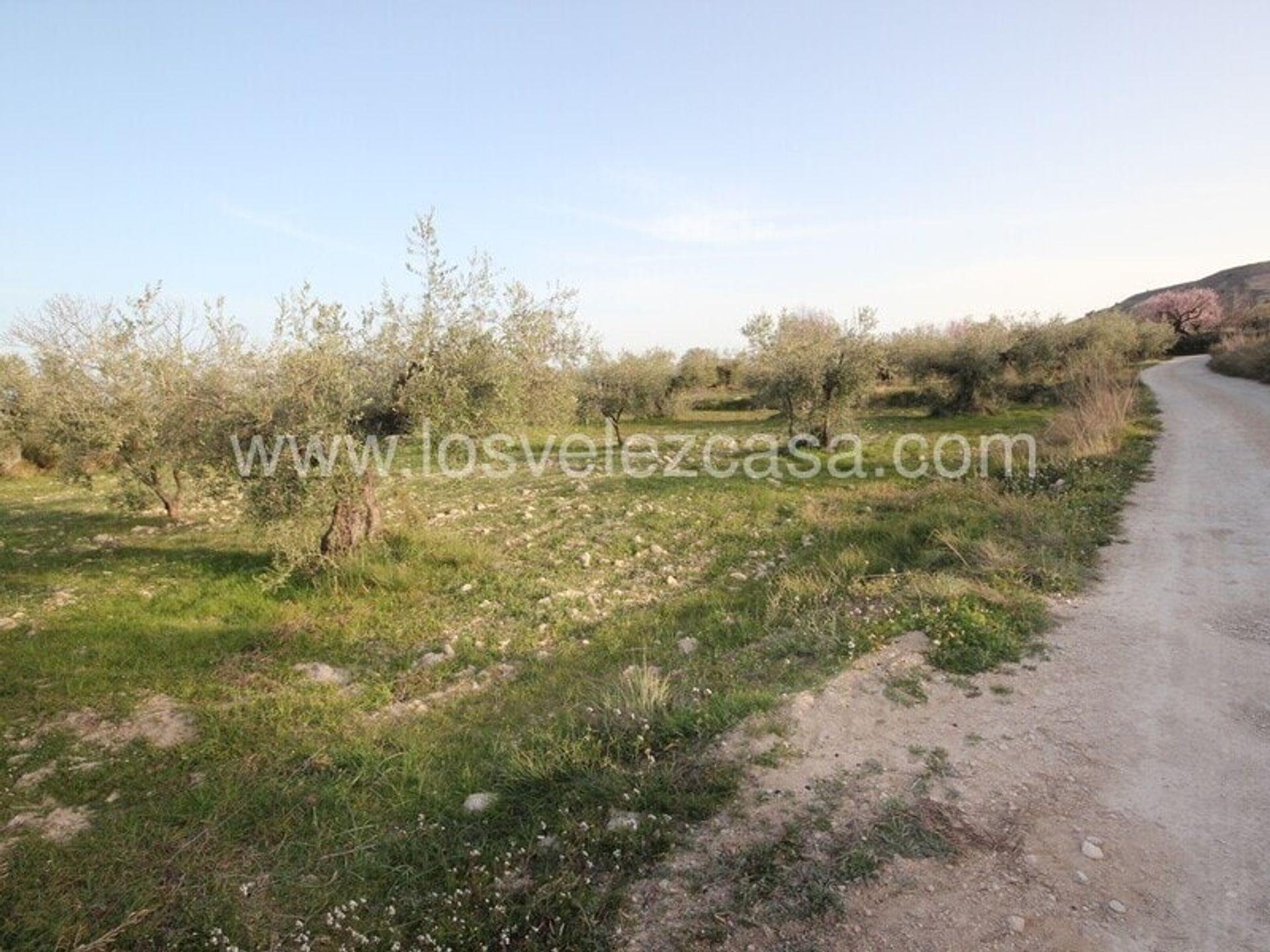 Land in Vélez-Blanco, Andalucía 10746547