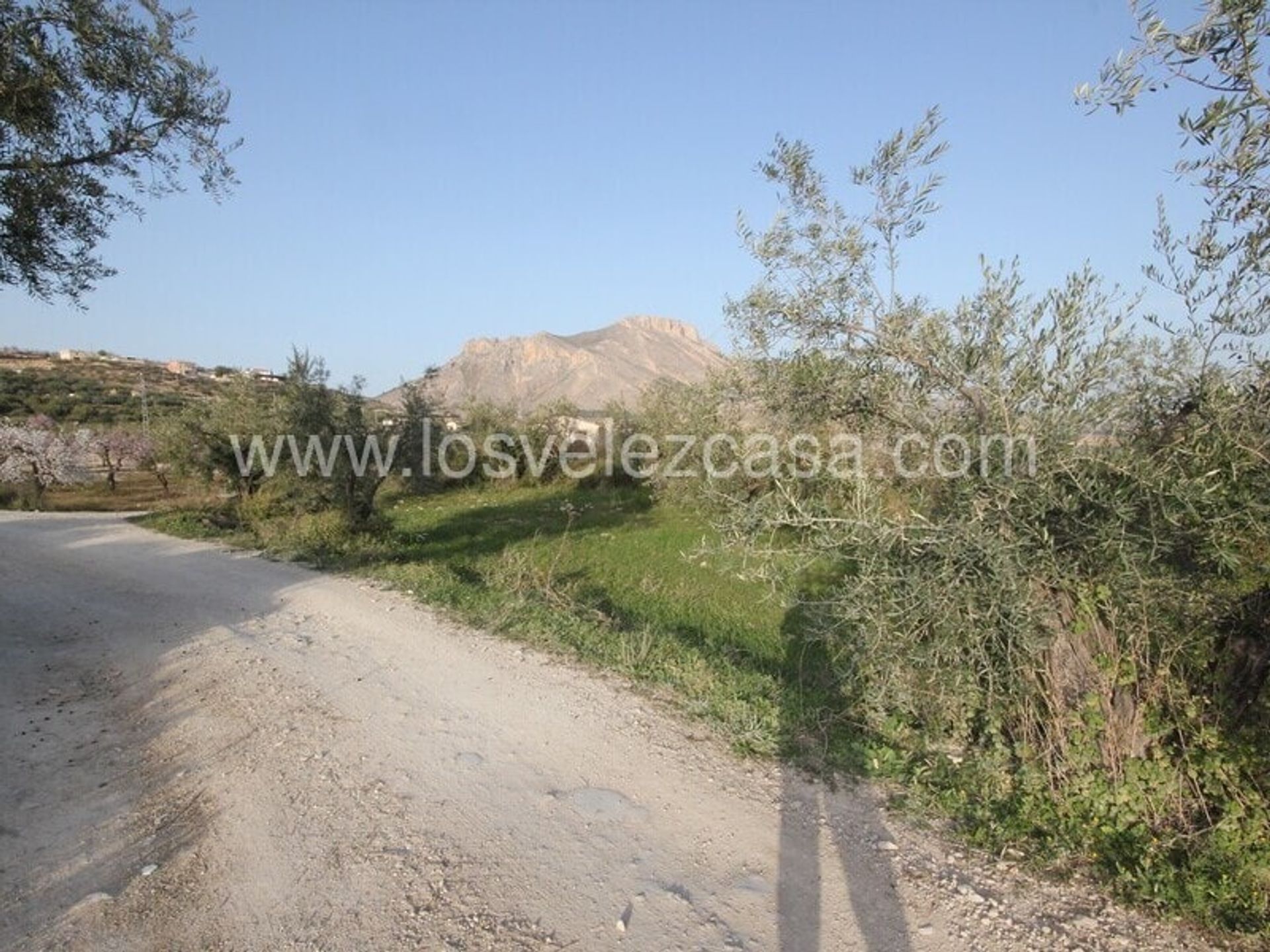 Land in Velez Blanco, Andalusia 10746547