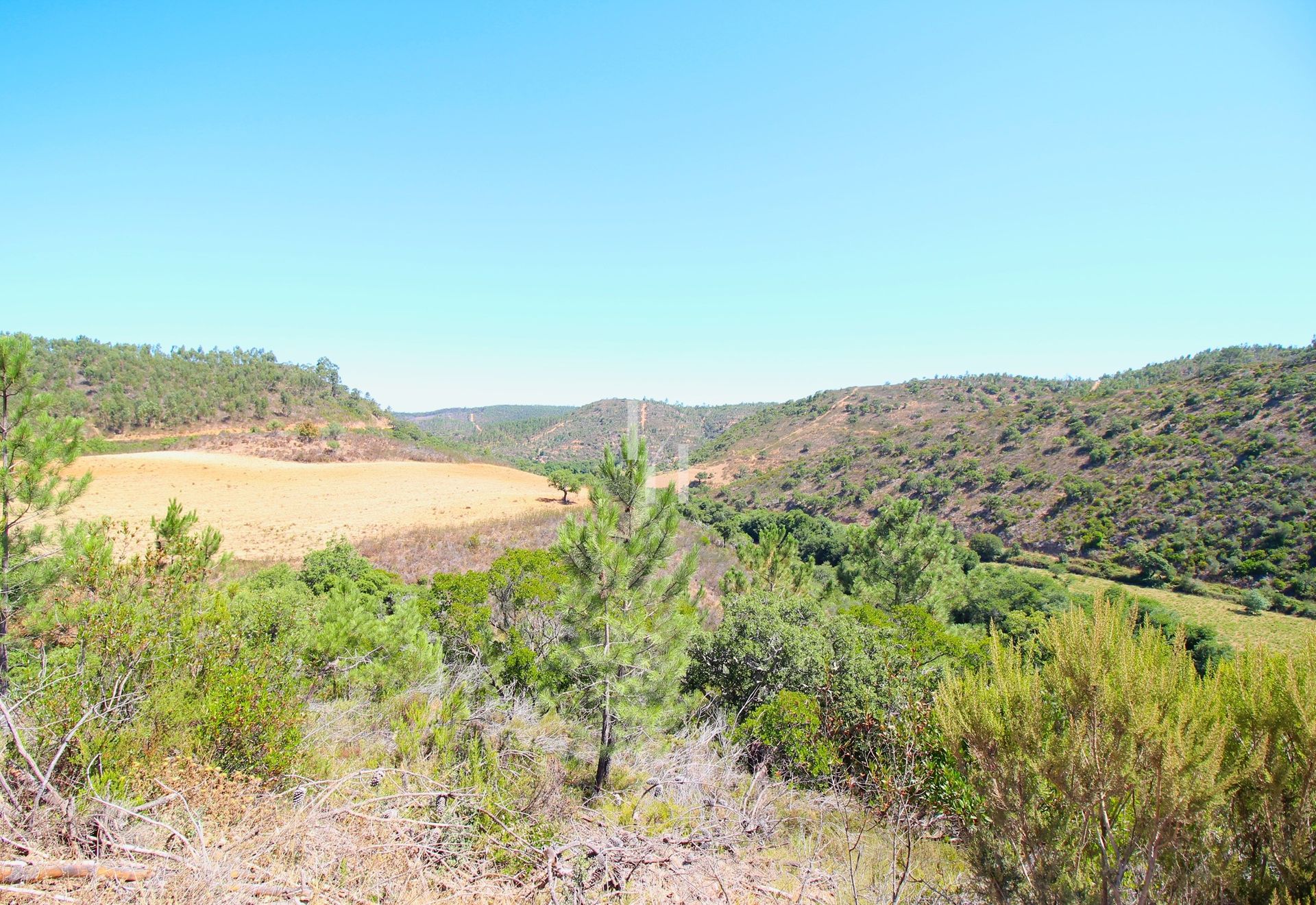 Land in Sao Miguel, Beja 10746573