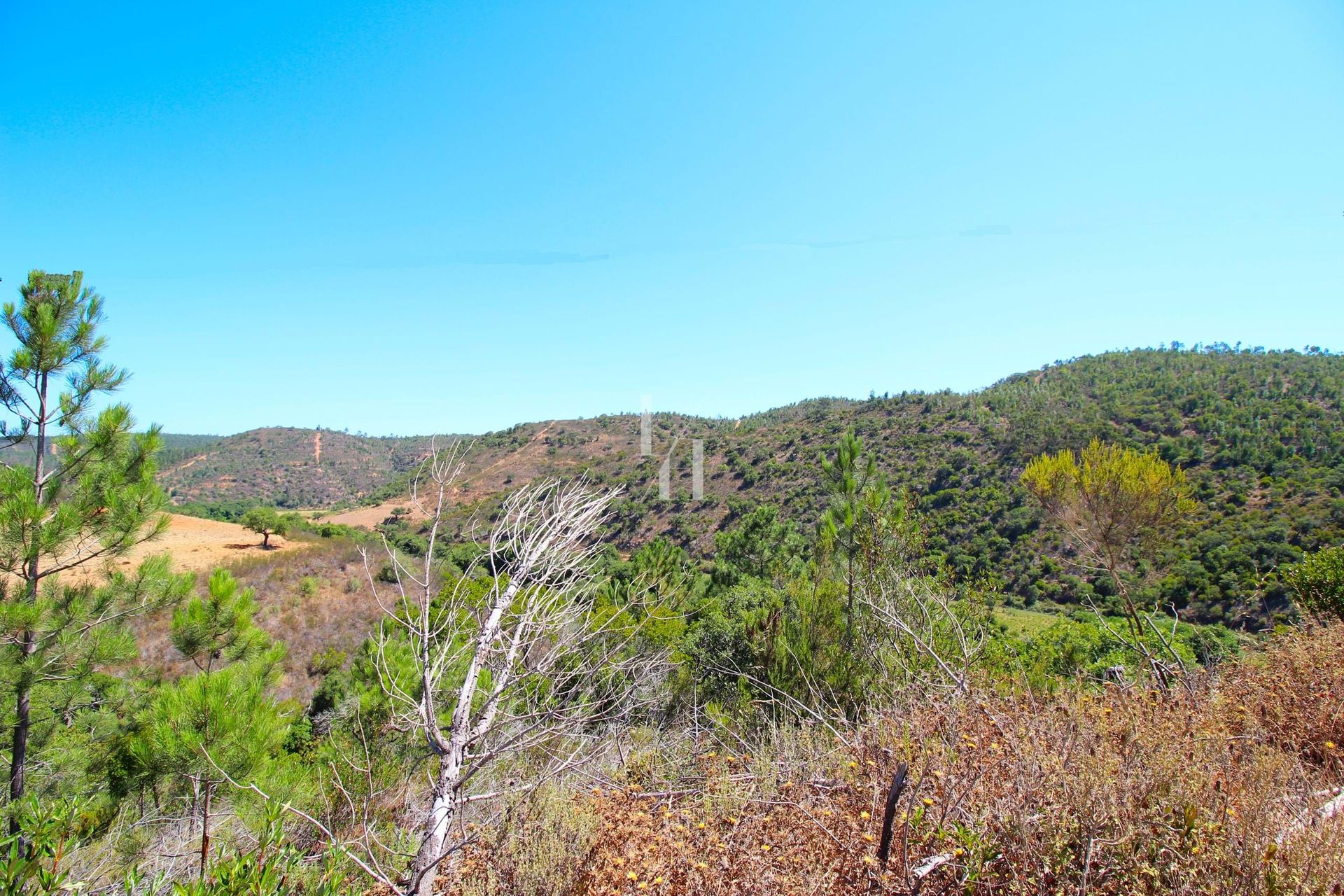 Land in Sao Miguel, Beja 10746573