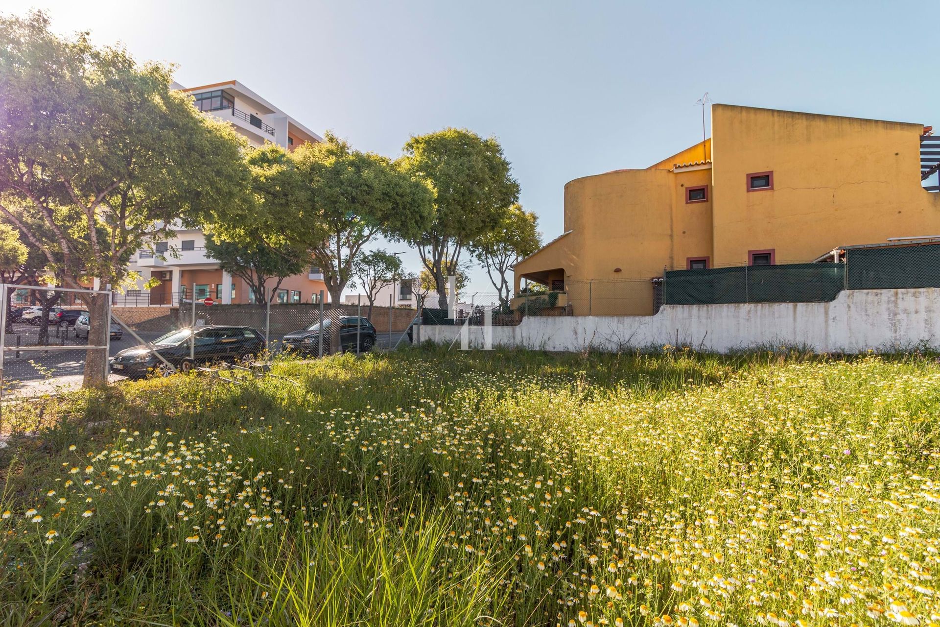 Tierra en Portimão, Faro 10746584