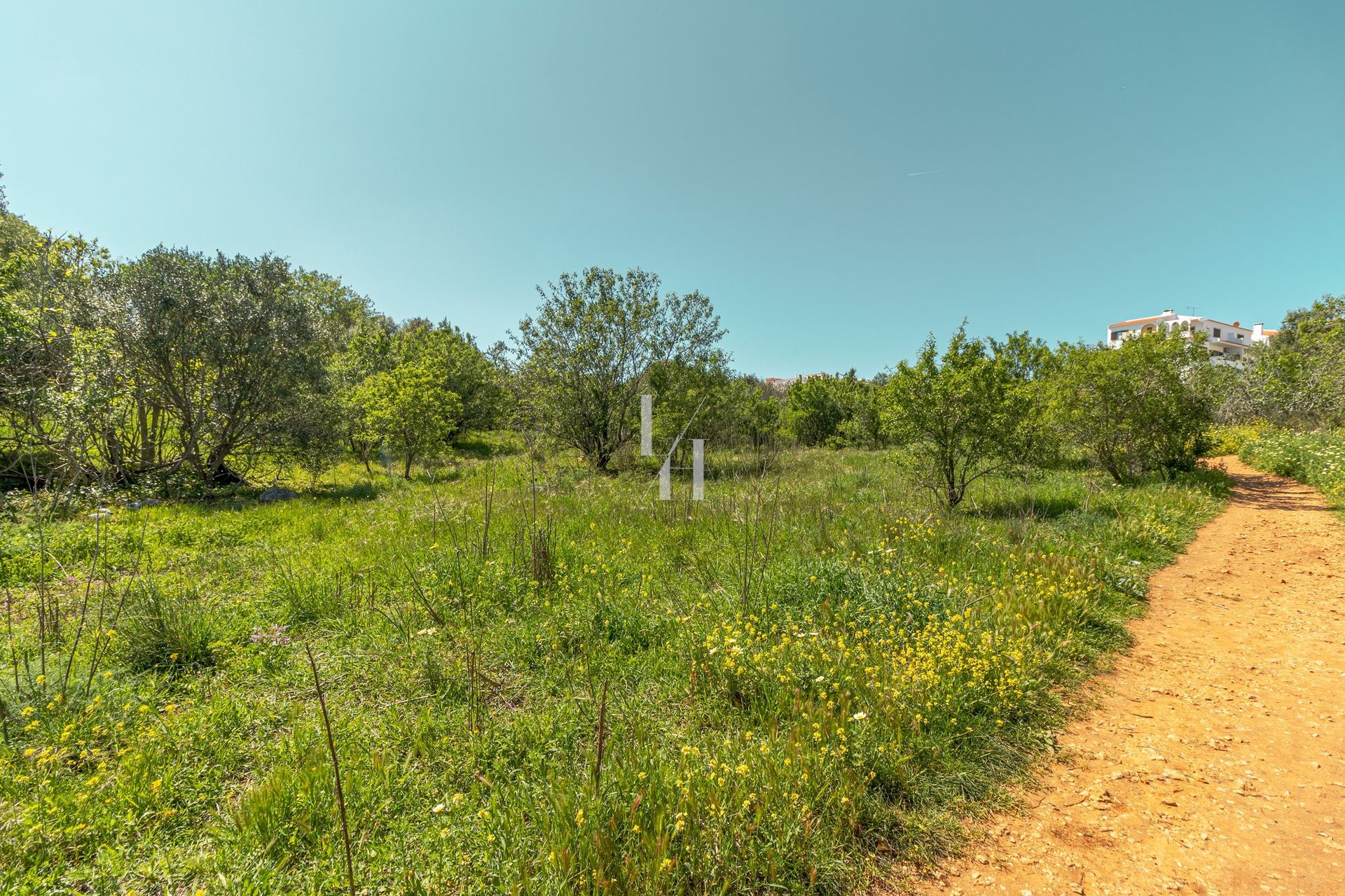 Land i Pedra Alcada, Faro 10746587