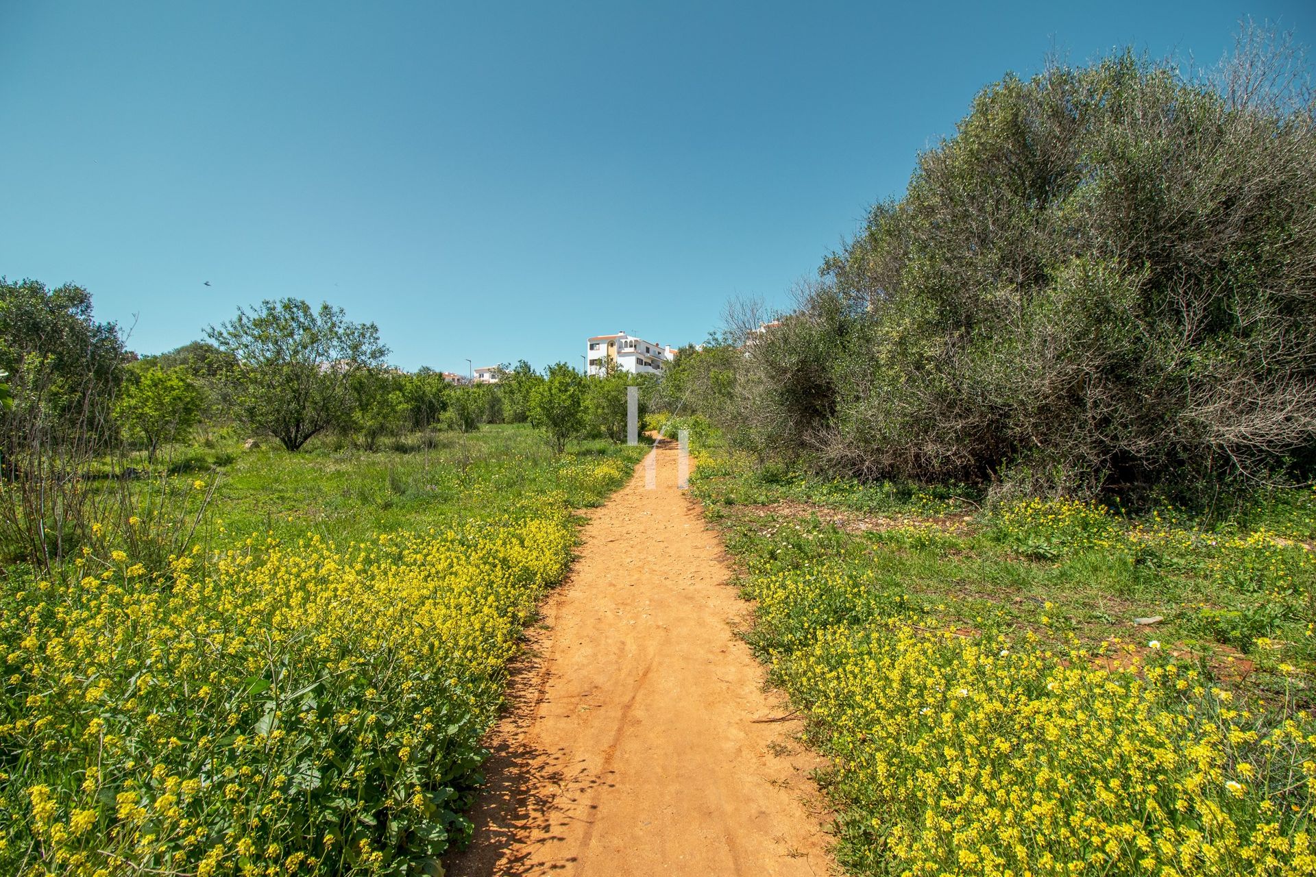 Land i Pedra Alcada, Faro 10746587