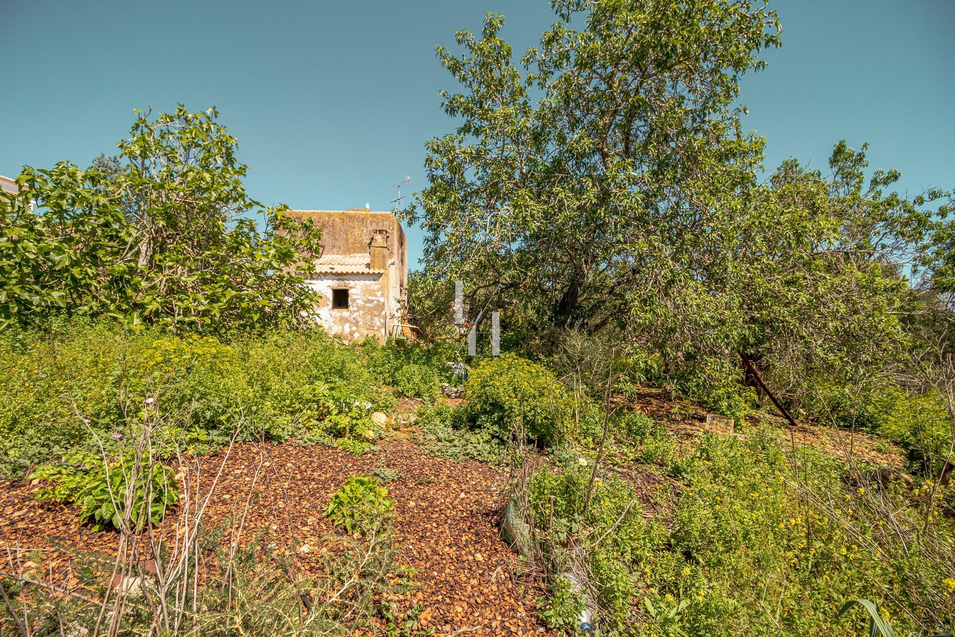 Land i Pedra Alcada, Faro 10746587