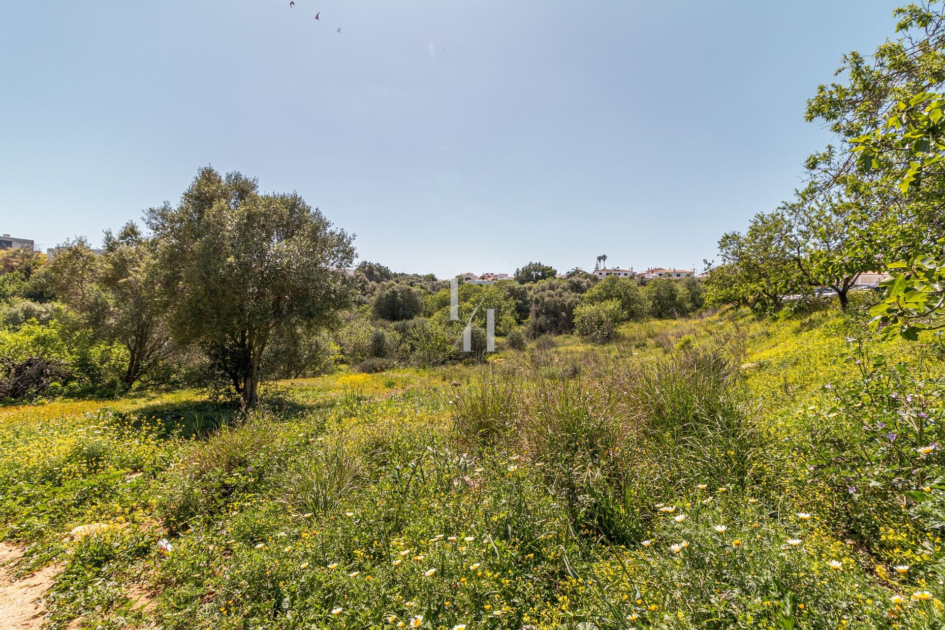 Land i Pedra Alcada, Faro 10746587