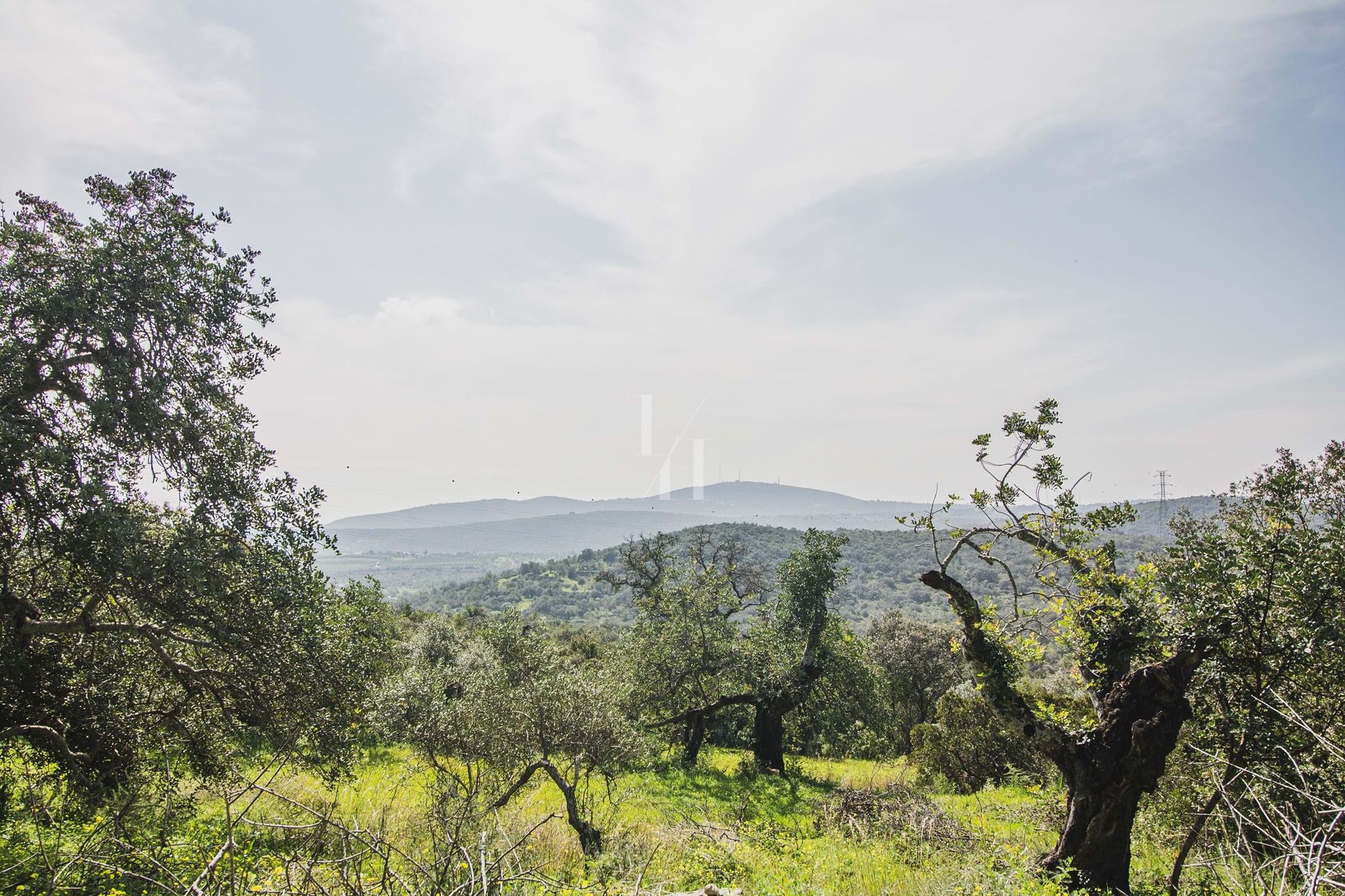 Land in Cerro da Mesquita, Faro 10746594