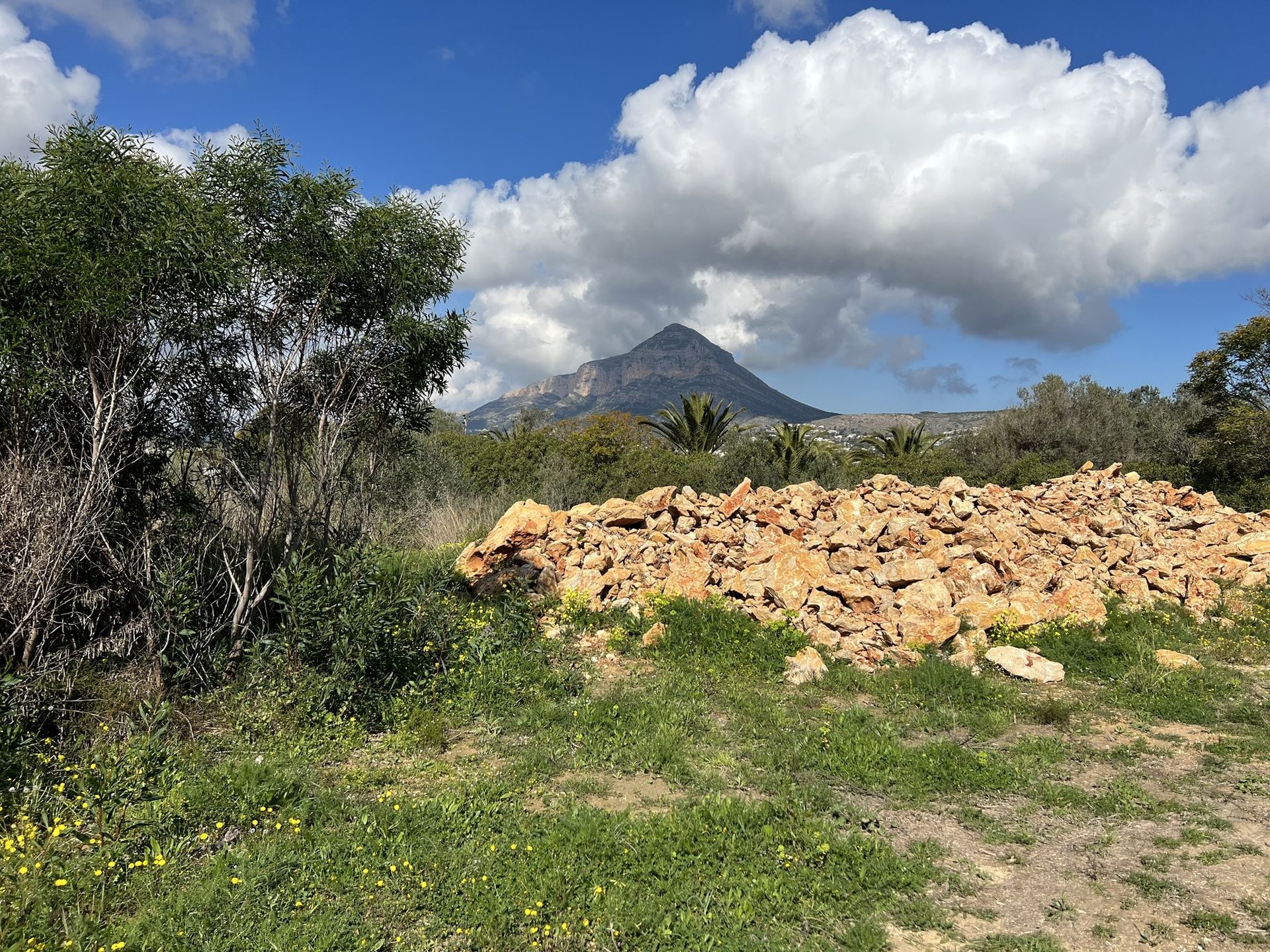 Land in Jávea, Comunidad Valenciana 10746603