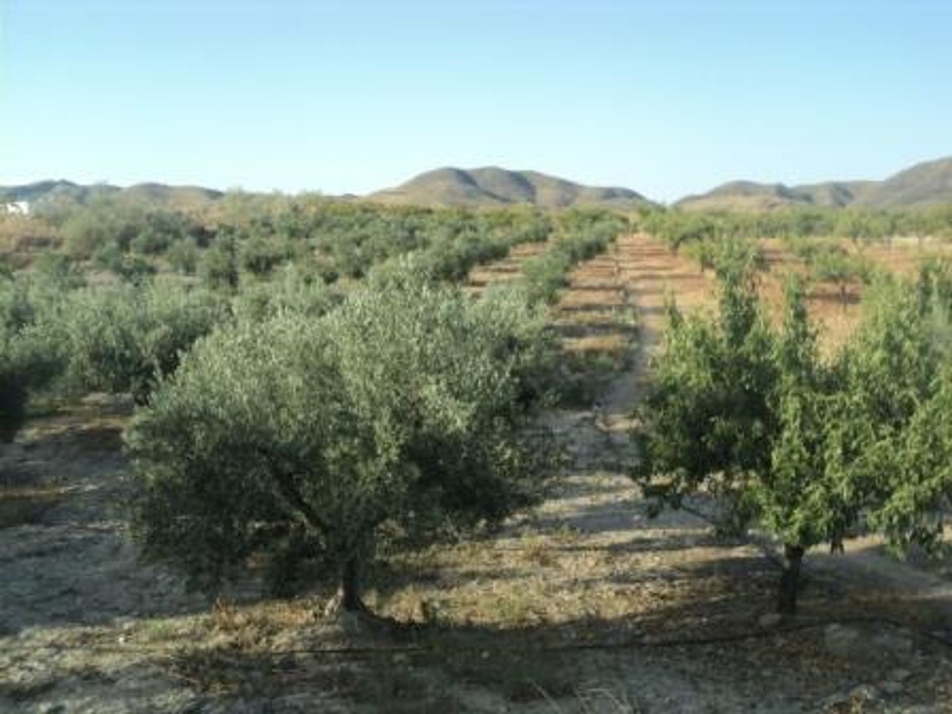 Βιομηχανικός σε Σορμπάς, Ανδαλουσία 10746624