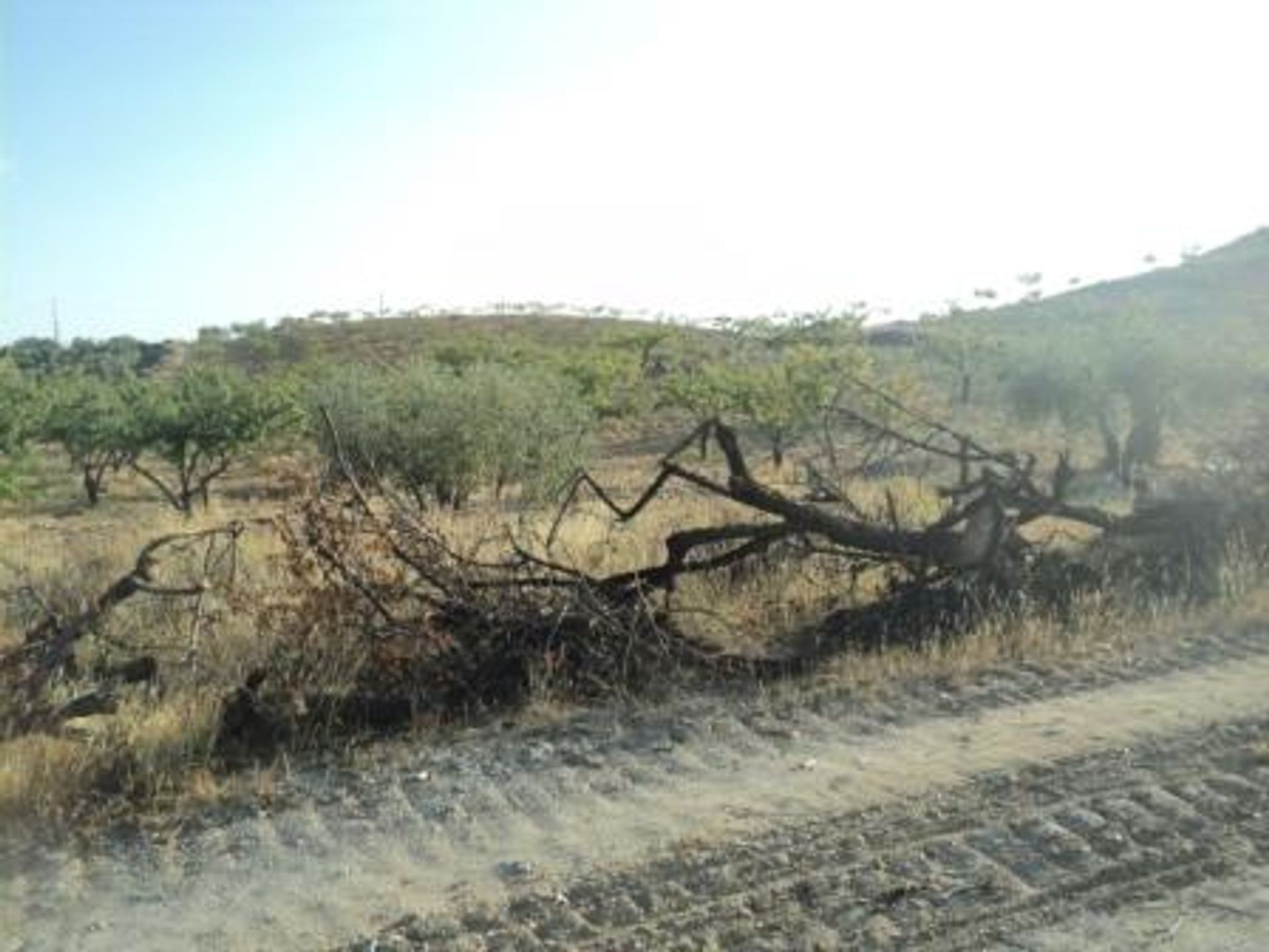 Industri di Sorbas, Andalucía 10746624