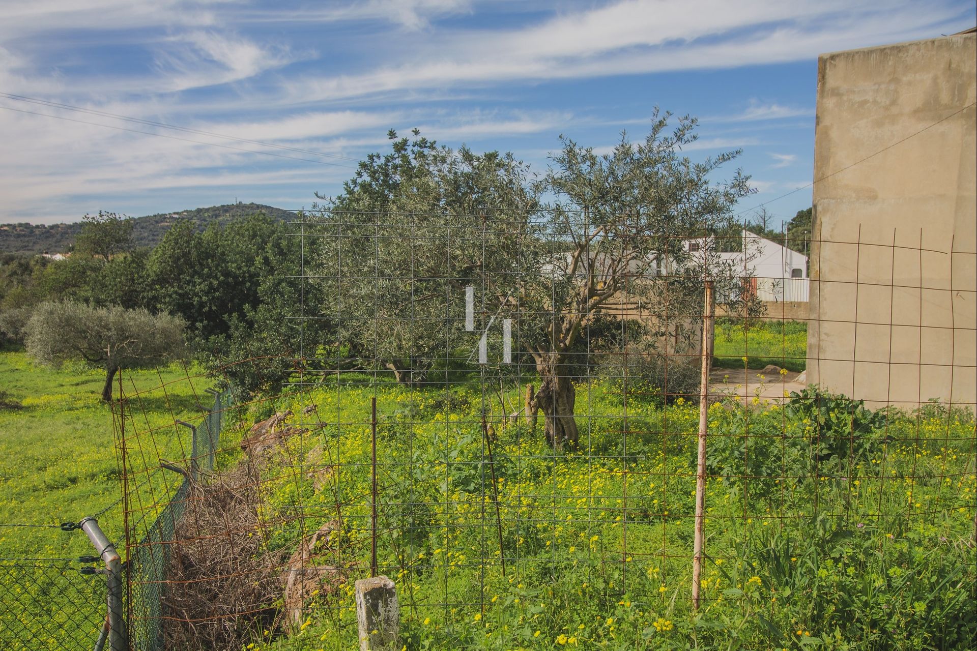 土地 在 São Brás de Alportel, Faro 10746637