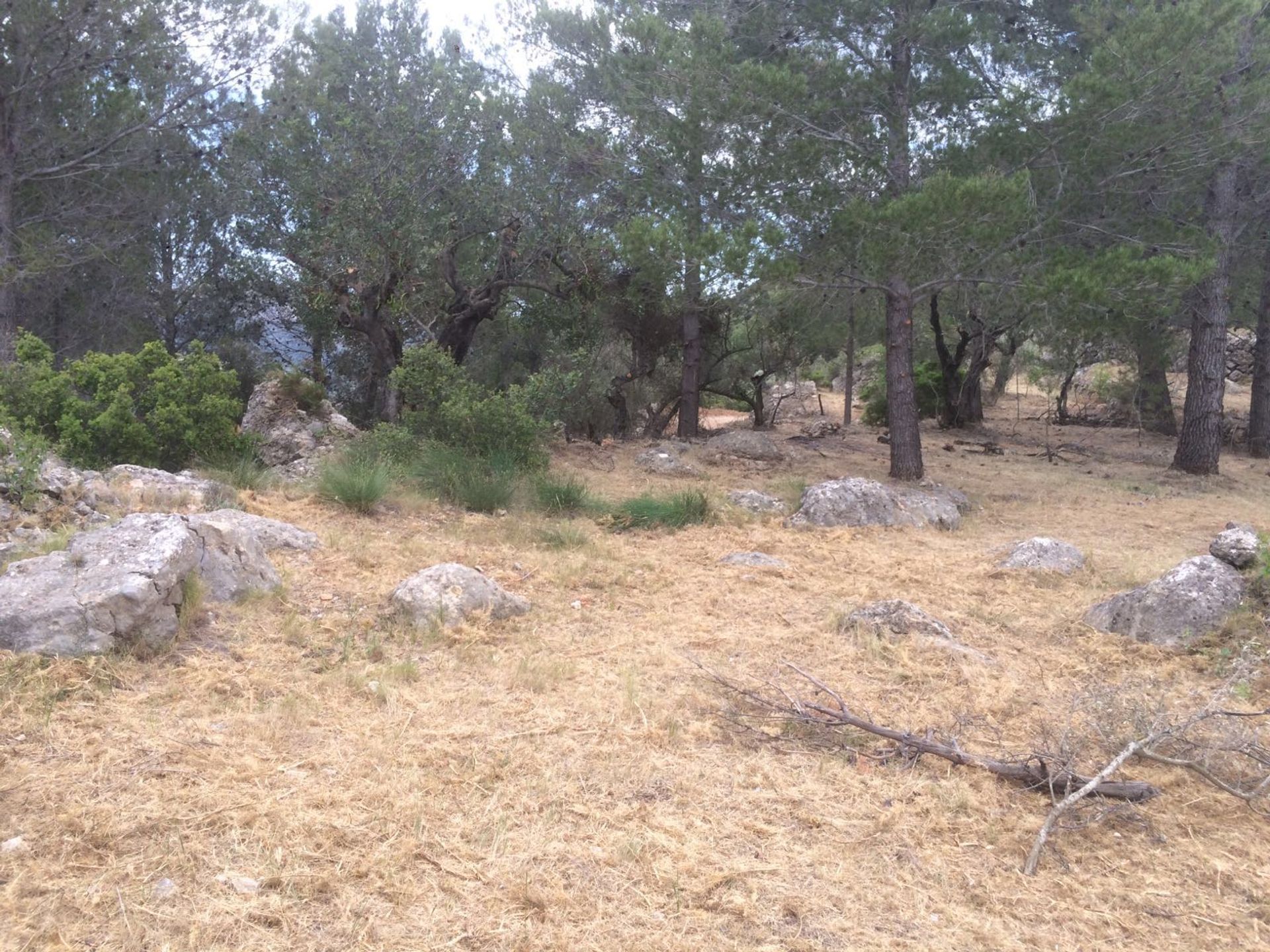 Земля в Castell de Castells, Comunidad Valenciana 10746776