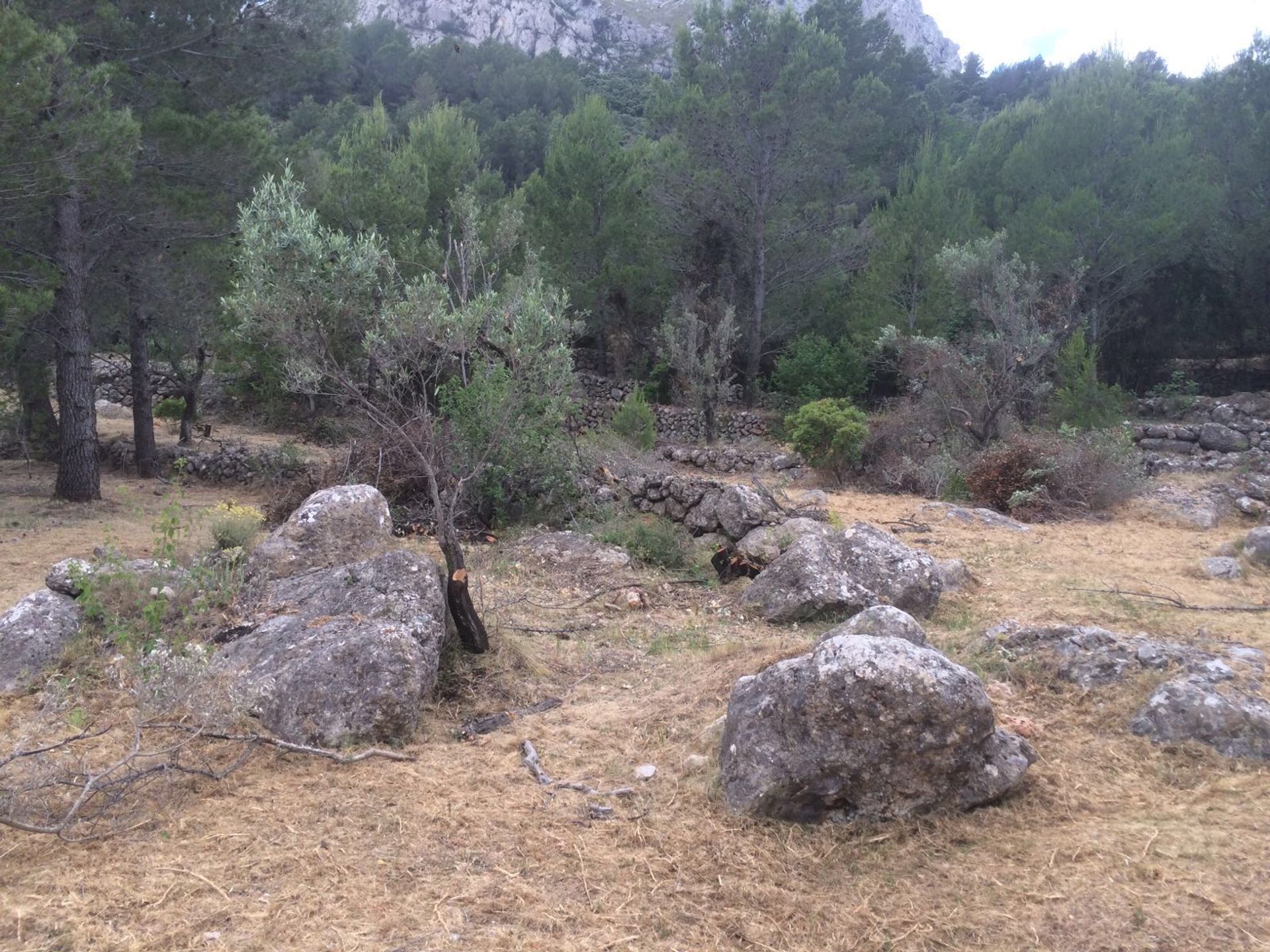 Γη σε Castell de Castells, Comunidad Valenciana 10746776