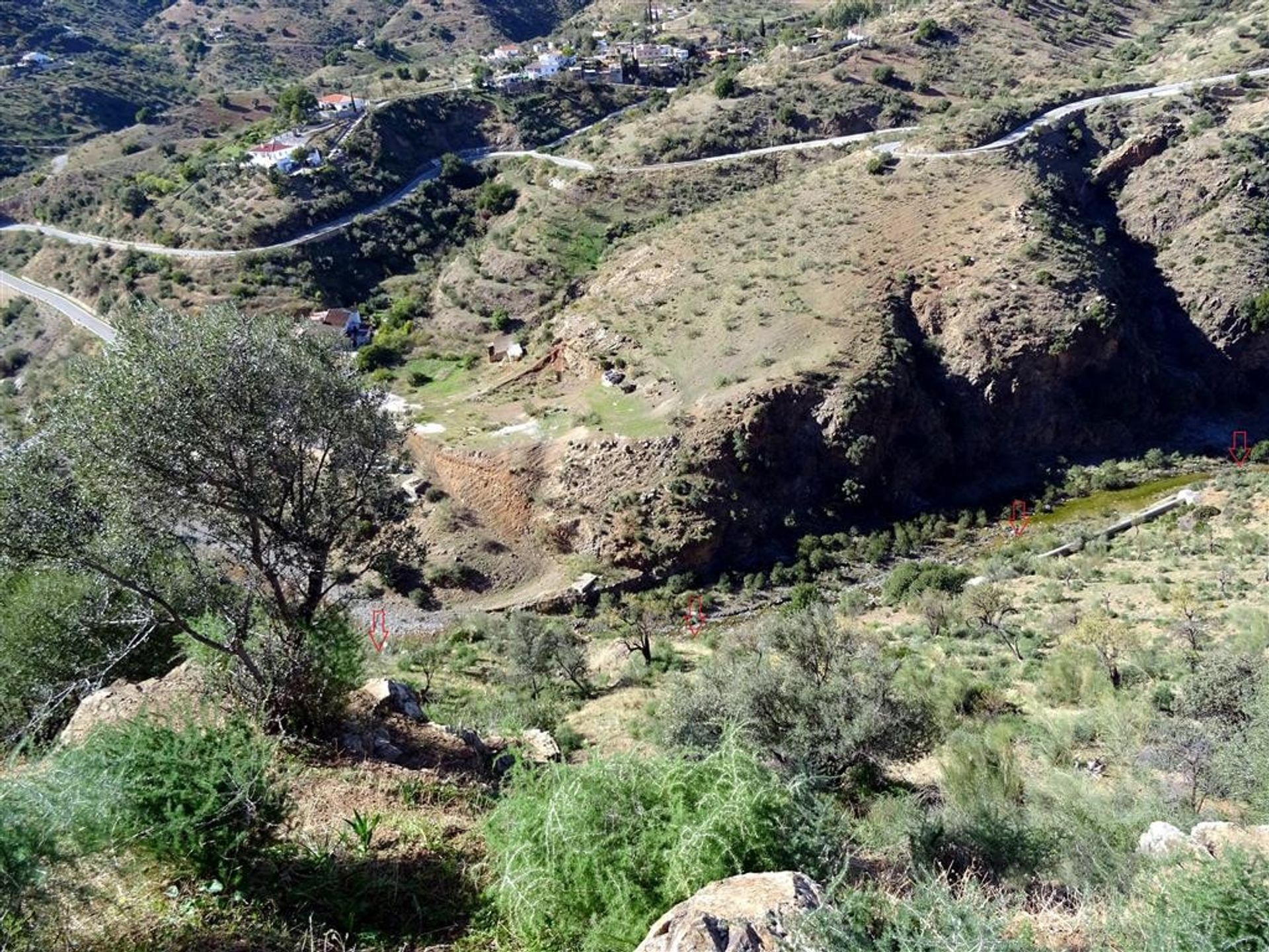 Terre dans Almogía, Andalousie 10746868