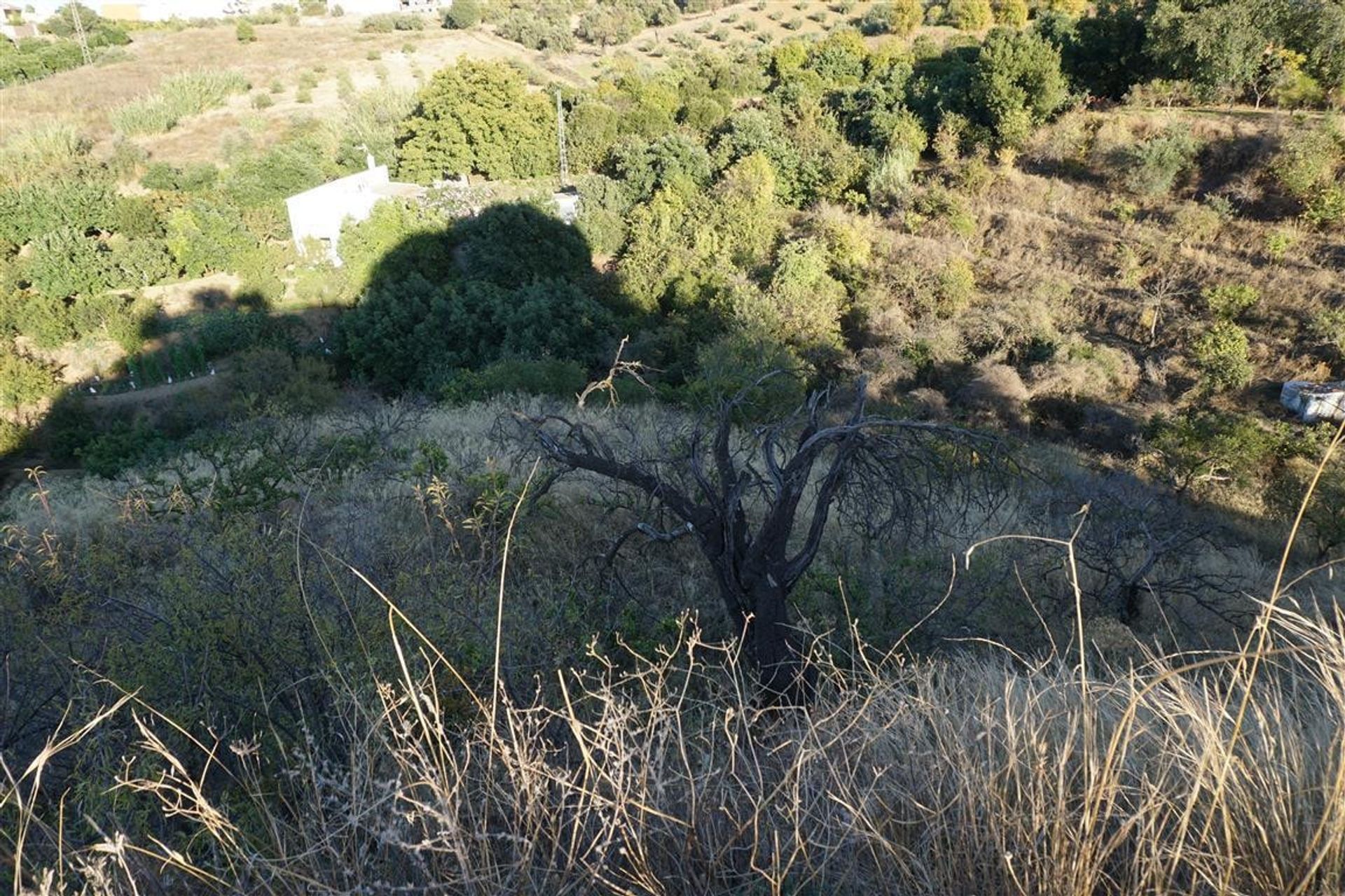 Terra no Alhaurín el Grande, Andaluzia 10746870