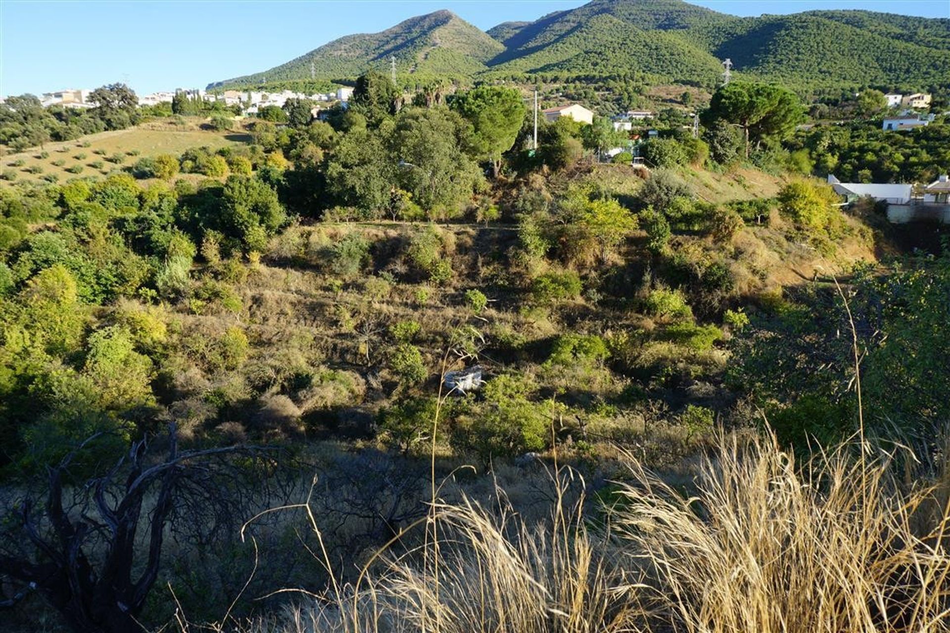 Terra no Alhaurín el Grande, Andalucía 10746870