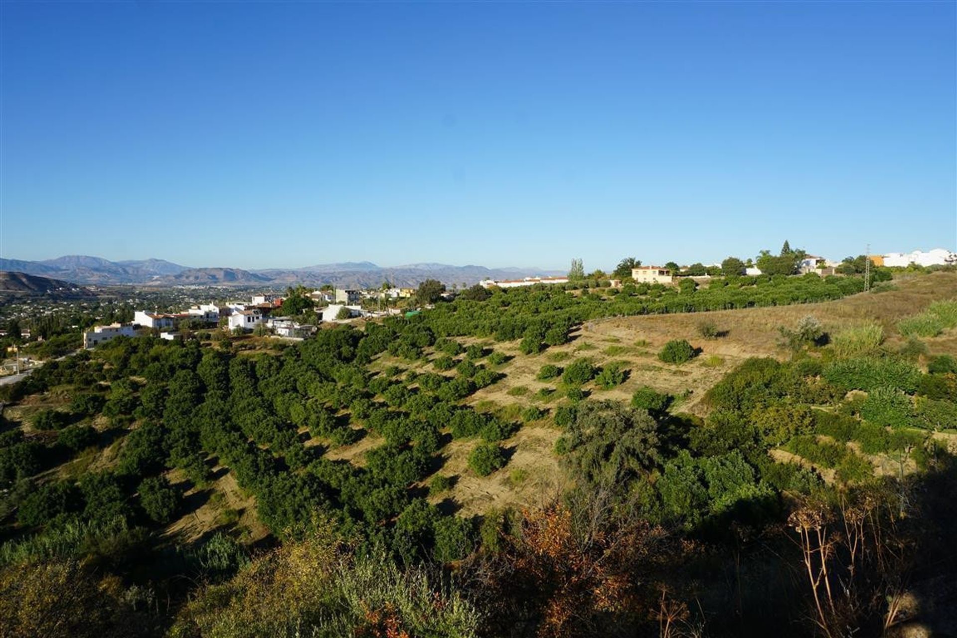 Terra no Alhaurín el Grande, Andaluzia 10746870