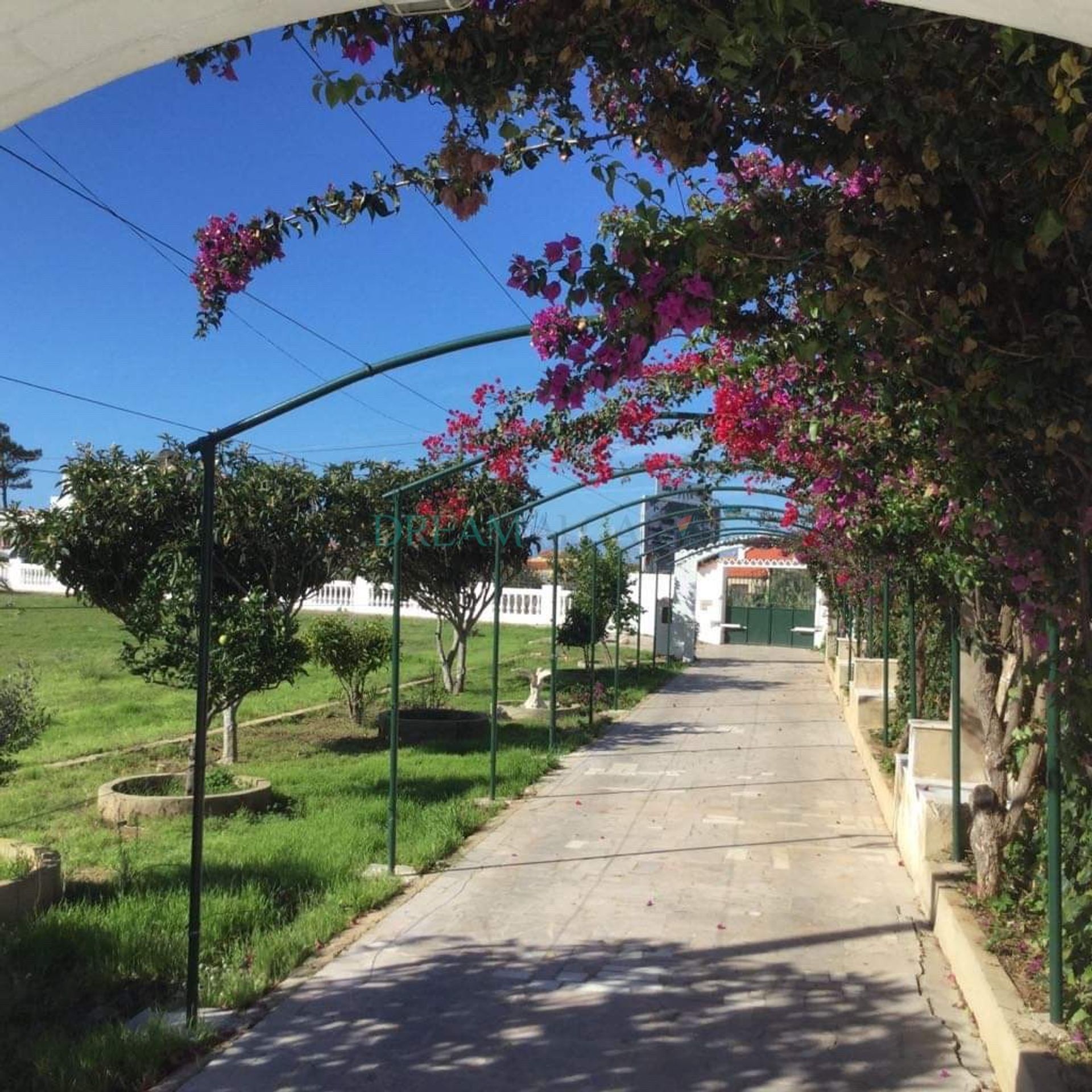 Huis in Vila do Bispo, Faro District 10746997