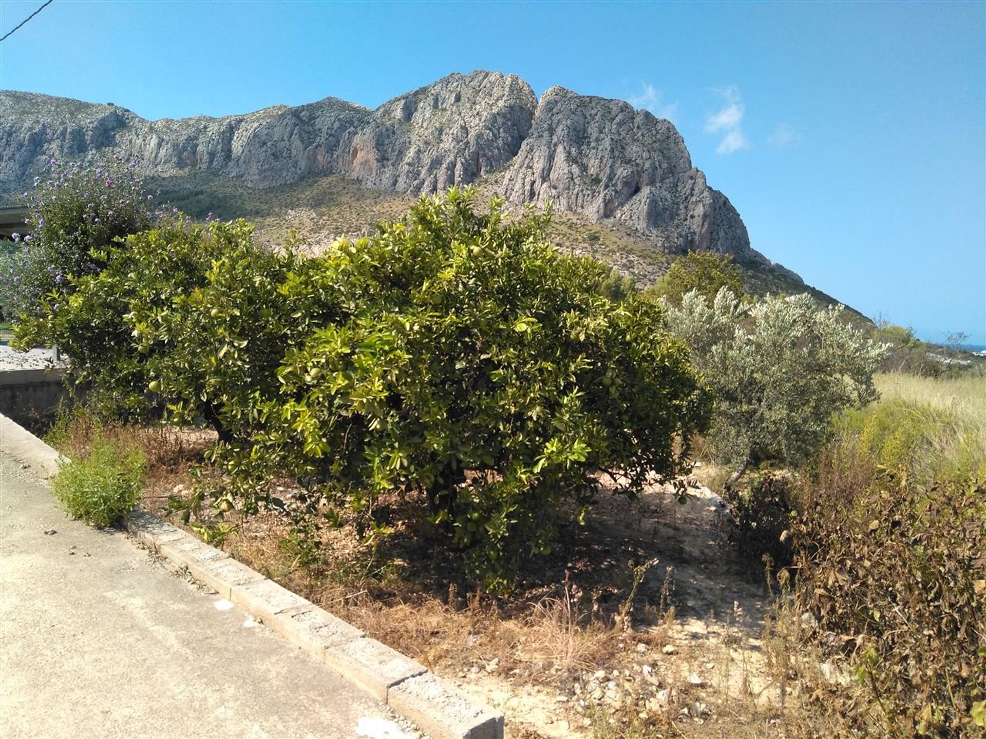 Terra no Ondará, Valência 10747117