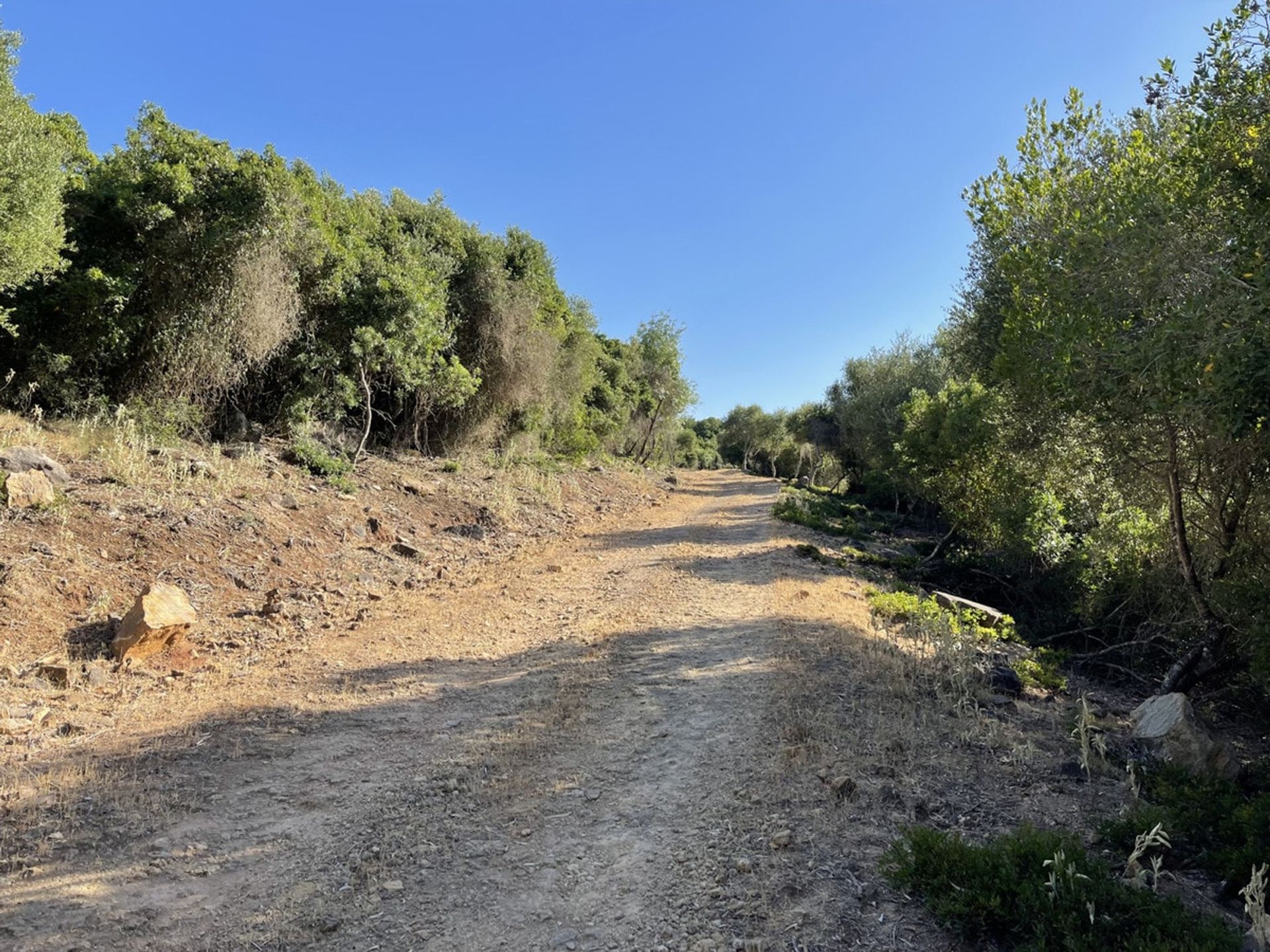 casa no Castellar de la Frontera, Andalucía 10747160