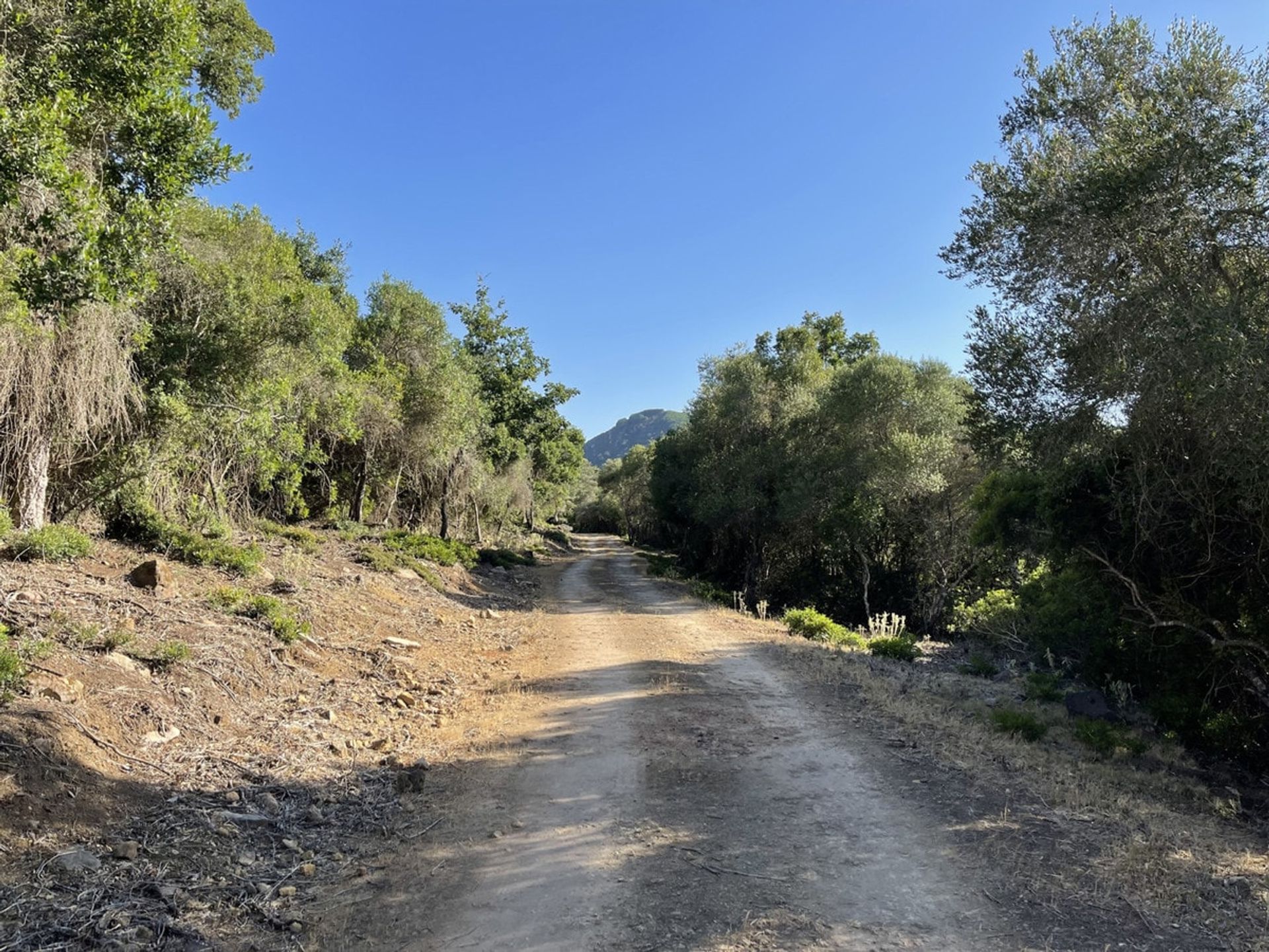 casa no Castellar de la Frontera, Andalucía 10747160