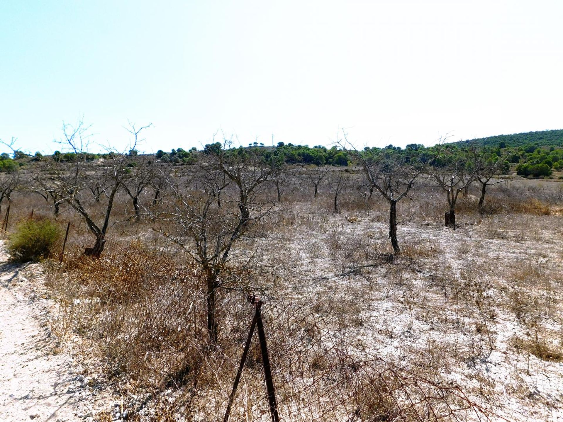 Terra no El Tocino, Valência 10747240