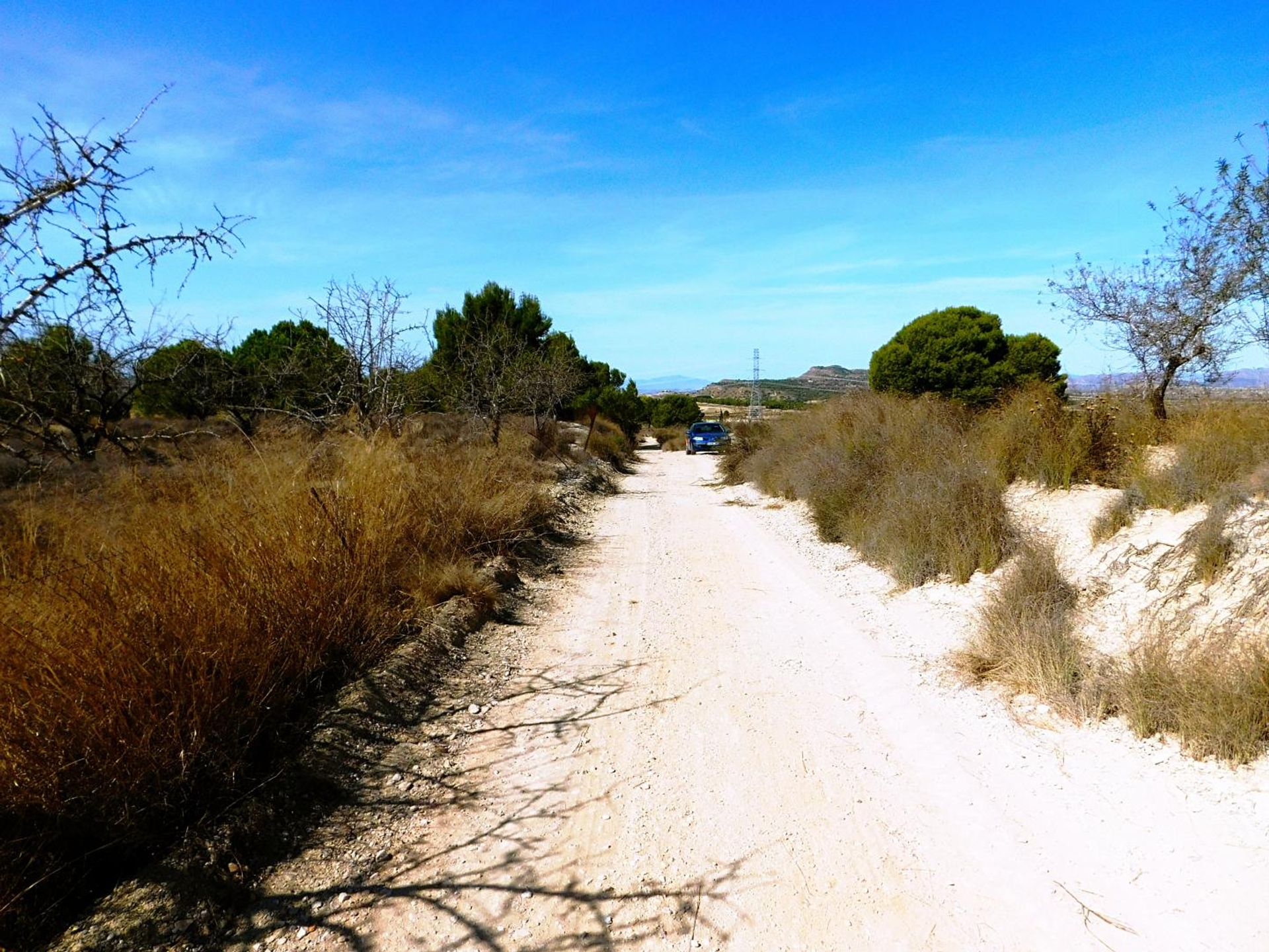 土地 在 Orihuela, Comunidad Valenciana 10747240