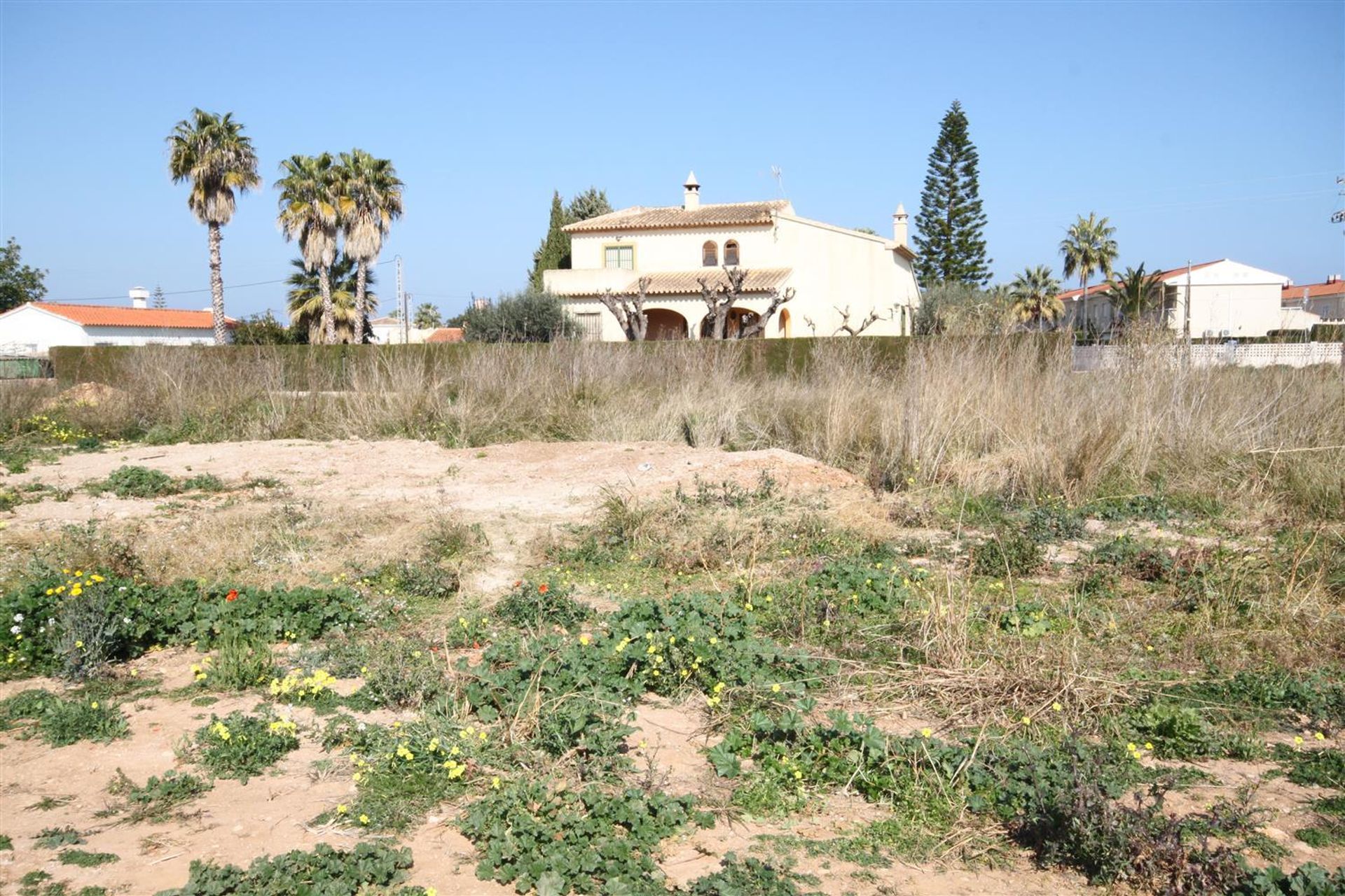 Land in Vergel, Comunidad Valenciana 10747274