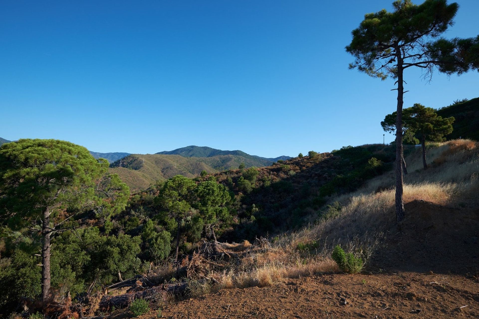 Terra no Benahavis, Andaluzia 10747416