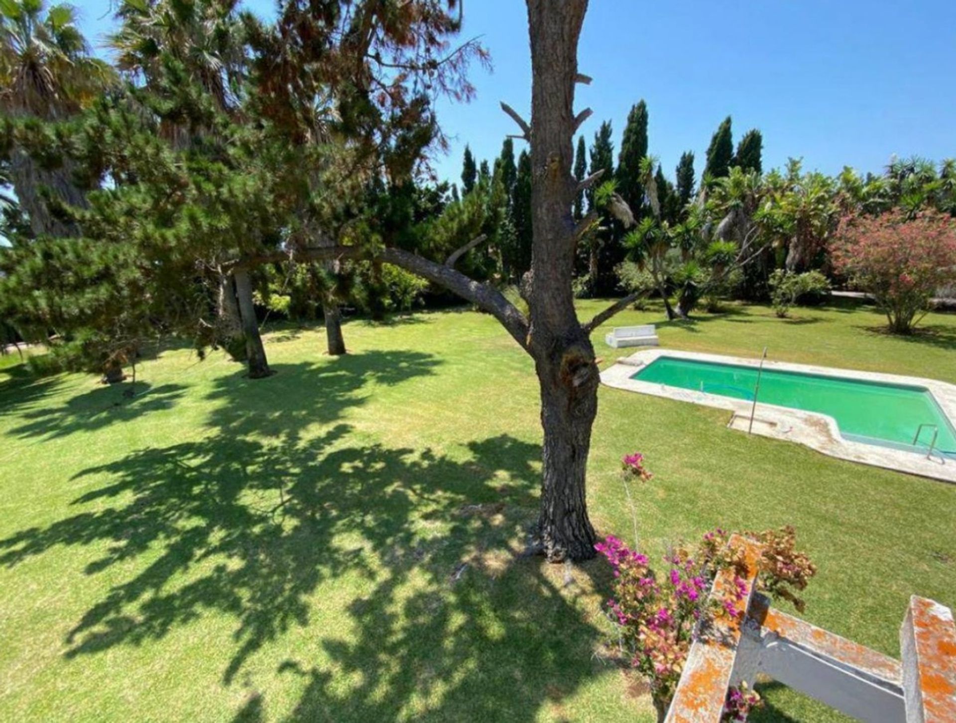 Land in San Pedro de Alcántara, Andalusië 10747490