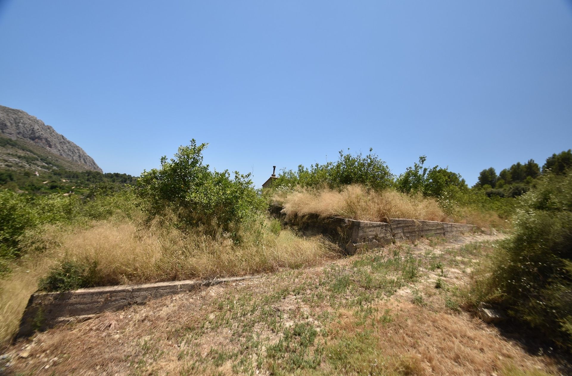 Terra no Beniarbeig, Comunidad Valenciana 10747535