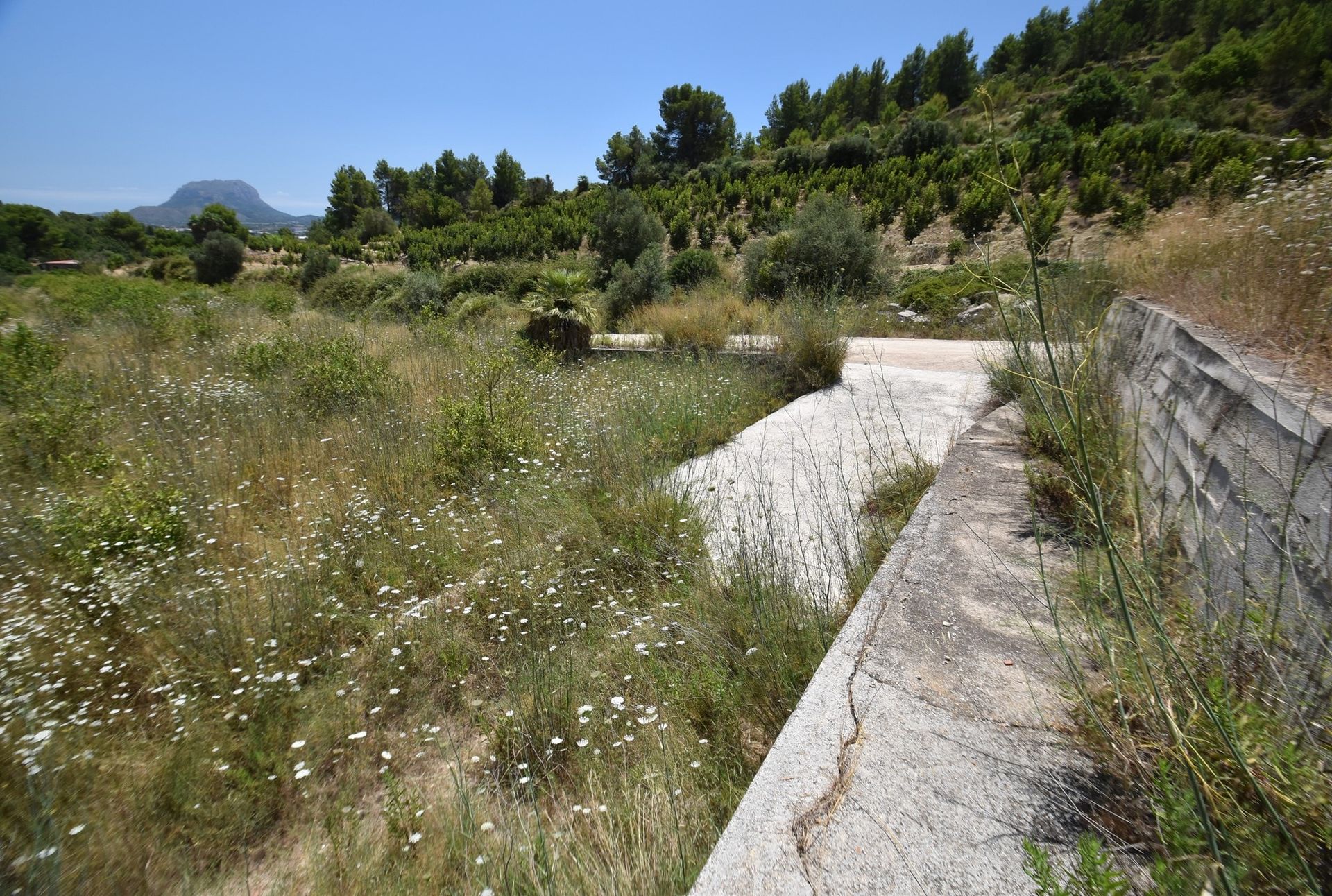 Tanah di Beniarbeig, Comunidad Valenciana 10747535