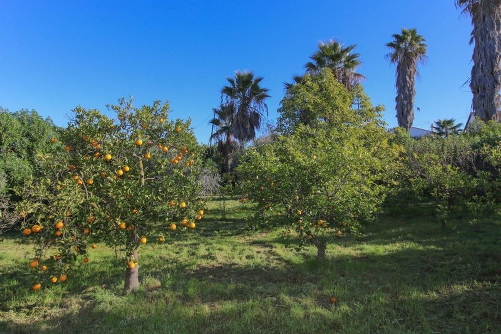 בַּיִת ב Coín, Andalucía 10747542