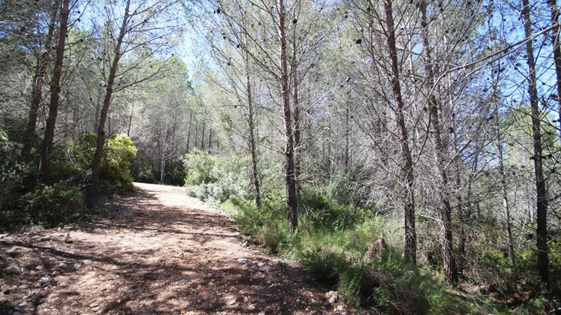 Tanah di Xaló, Comunidad Valenciana 10747609